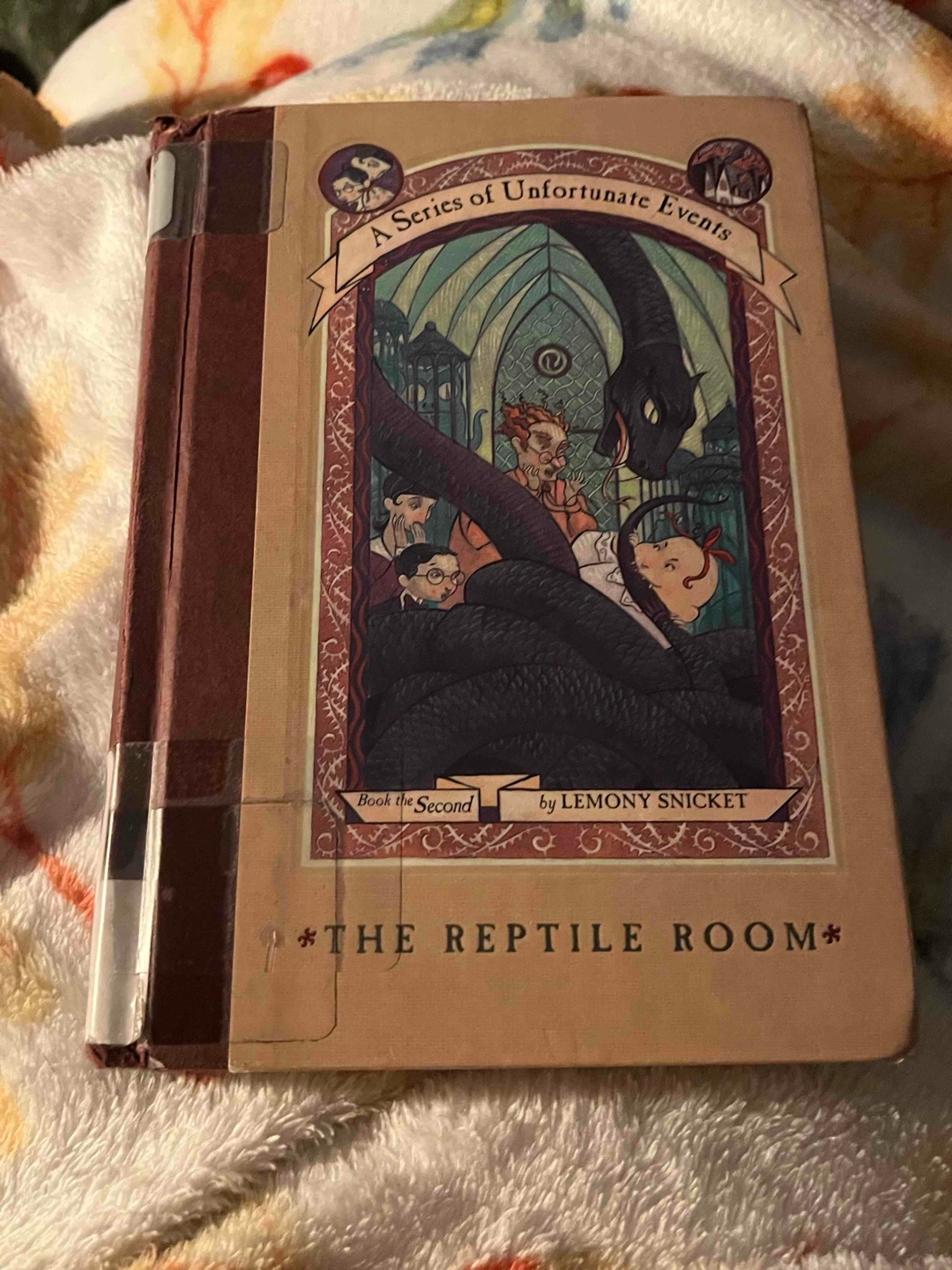 The second part of a really sad story of the Baudelaire Orphans who now found their first real guardian but shall not live with him for long
