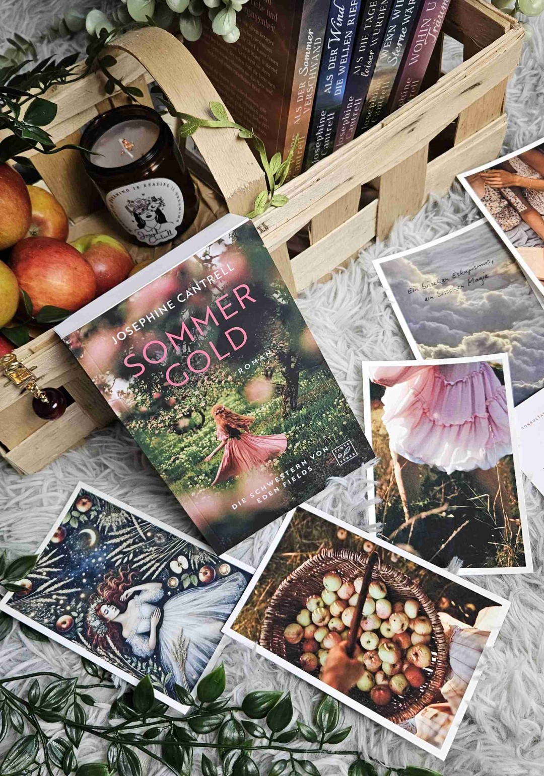 Josis Bücher sind Zuhause❤️🫂✨️