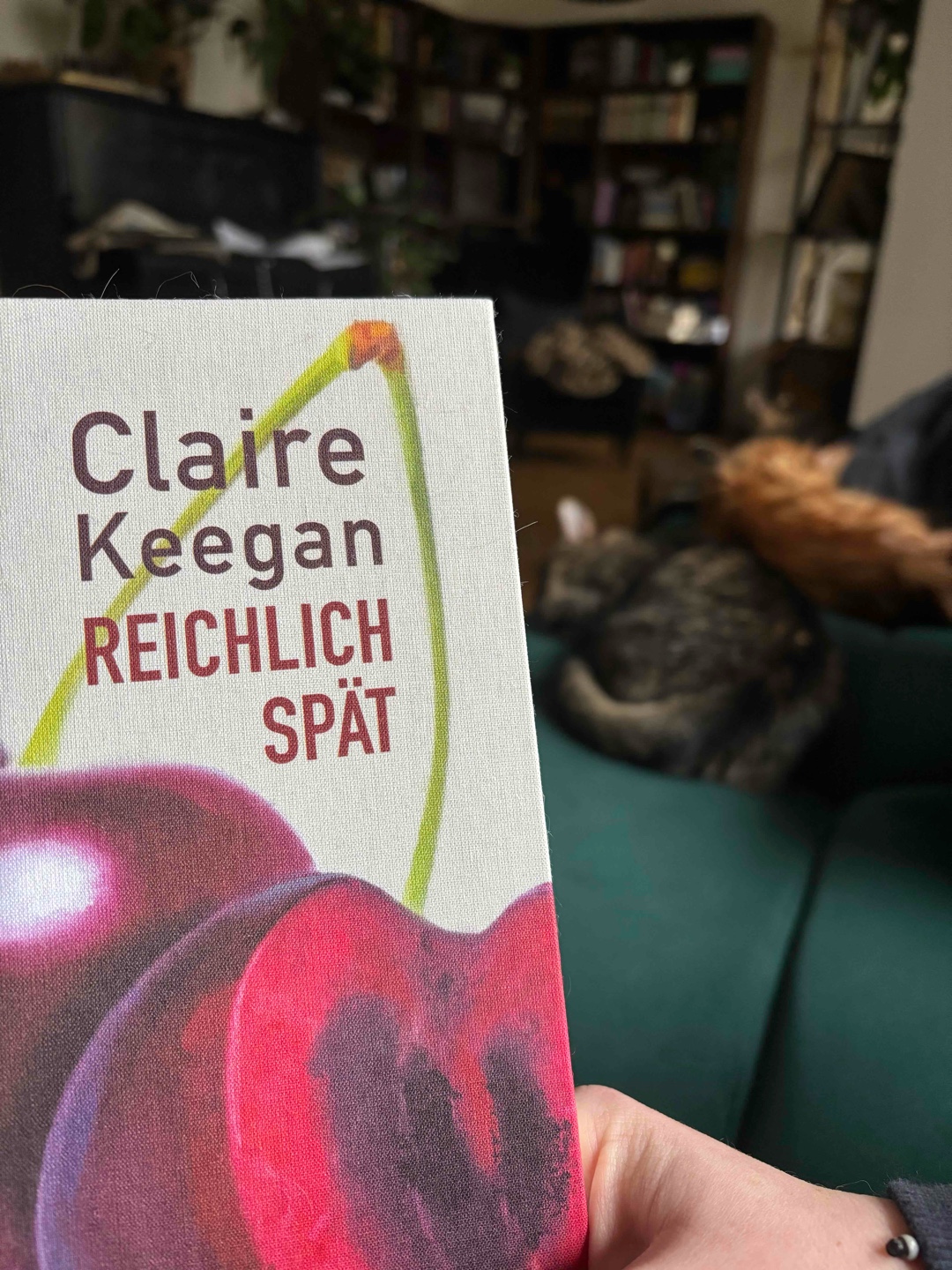 Dieses Buch lässt mich mit einer gewissen Genugtuung zurück. Einem „Ha! Haste genauso verdient, du Ar…!“ 😀 ich liebe Claire Keegans kleine Geschichten aus dem Alltag einfacher Menschen. In diesem Fall eben aus der Sicht einen misogynen Mannes, der erntet, was er sät ✌🏻