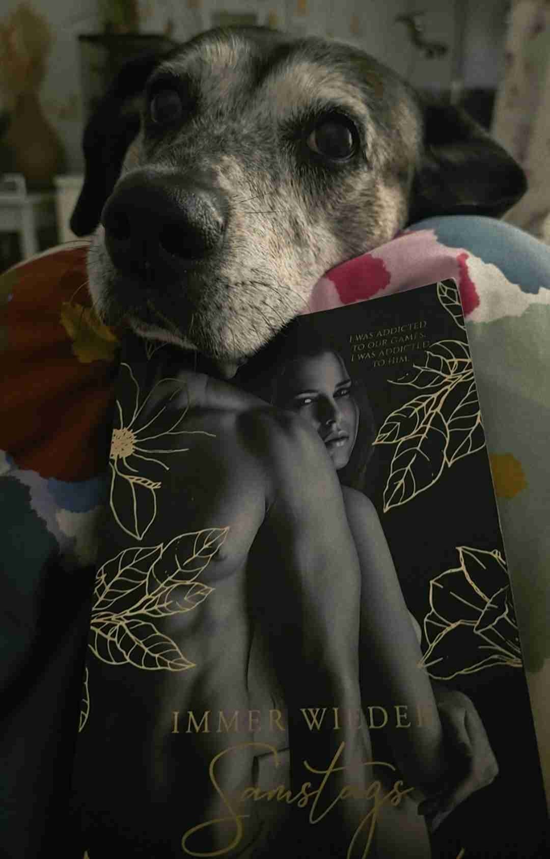 Bei den ersten Sätzen in diesem Buch dachte ich nur "was zur Hölle" .... und ja, genau da konme ich auch hin nach diesem Buch.
Aber ich Liebe diese Autorin und auch Tristan >sexy< Wrangler und trotz diesen vielen Ausdrücken, die man in diesem Buch lernt und einer eindeutigen 🚩 ist dieses Buch großartig gewesen.