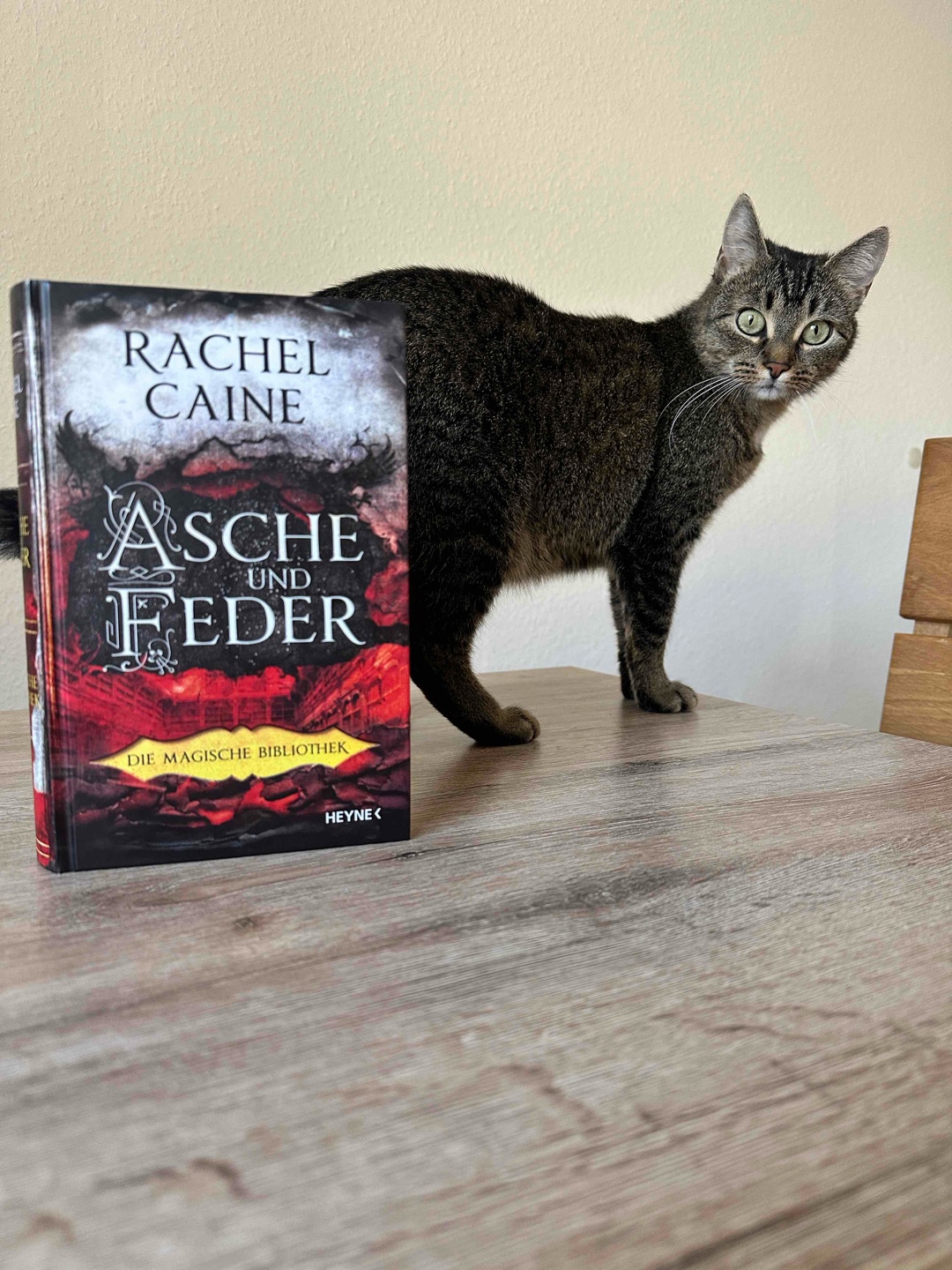 Dritter Spannender Teil der magischen Bibliothek 📚 🧐🪄