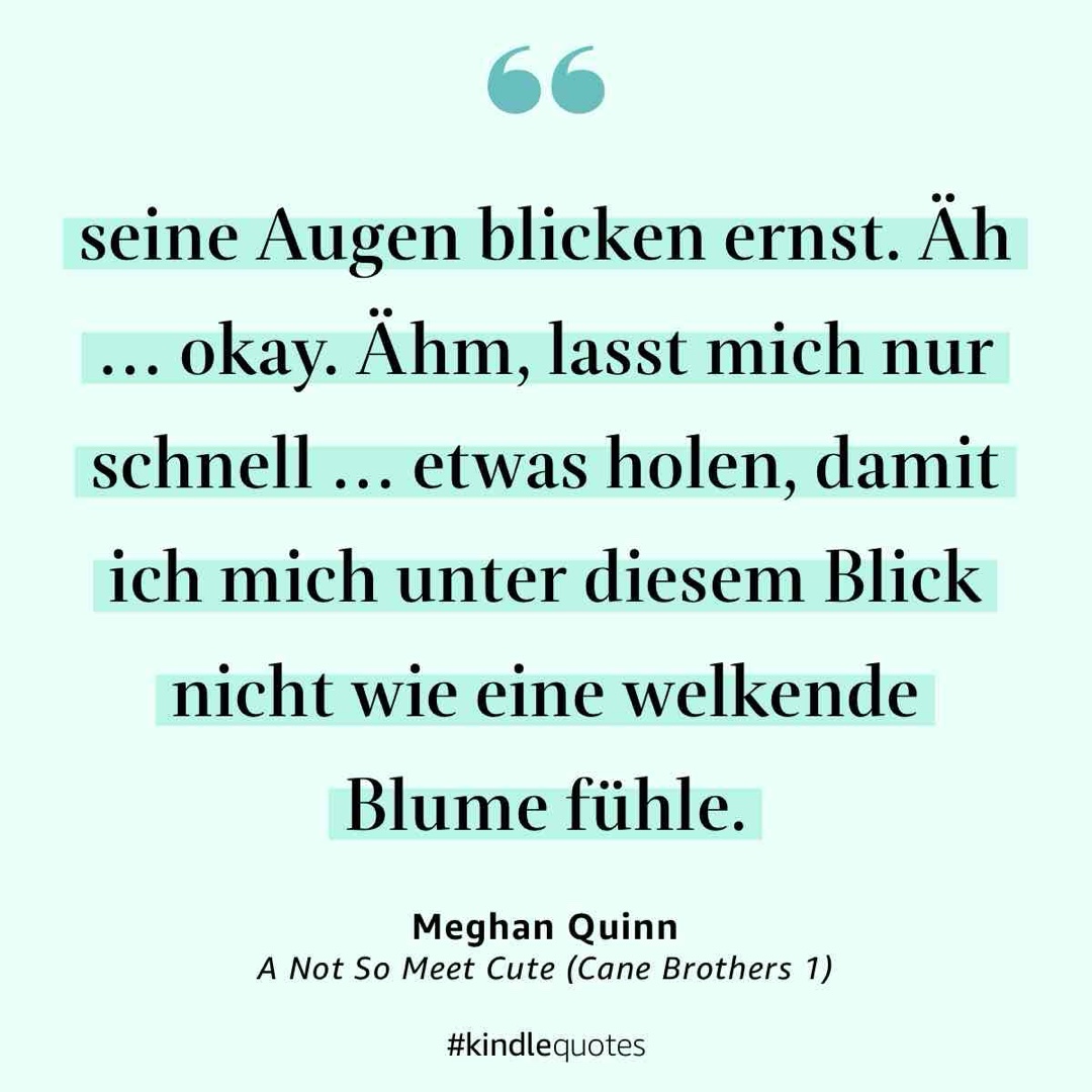 Leider ein Reinfall für mich