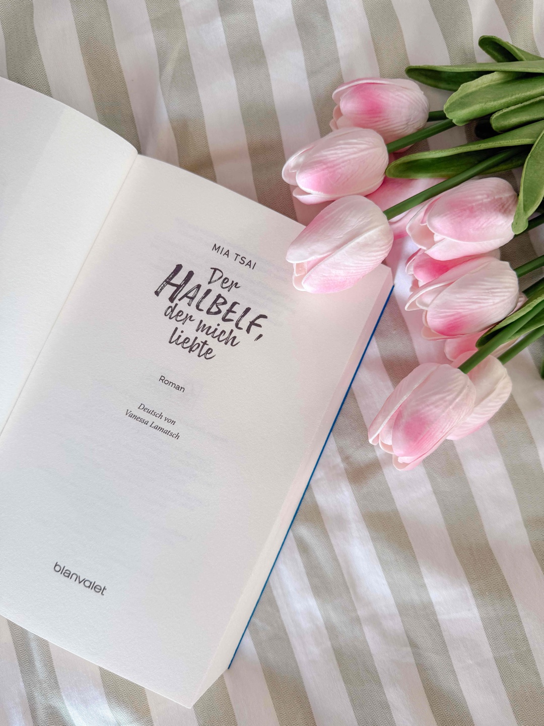 Schönes cozy Fantasy-Buch!