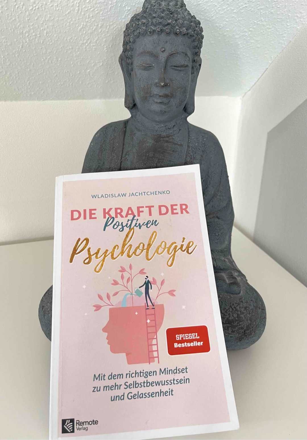 Super informatives Buch - absolute Empfehlung 👌🏻