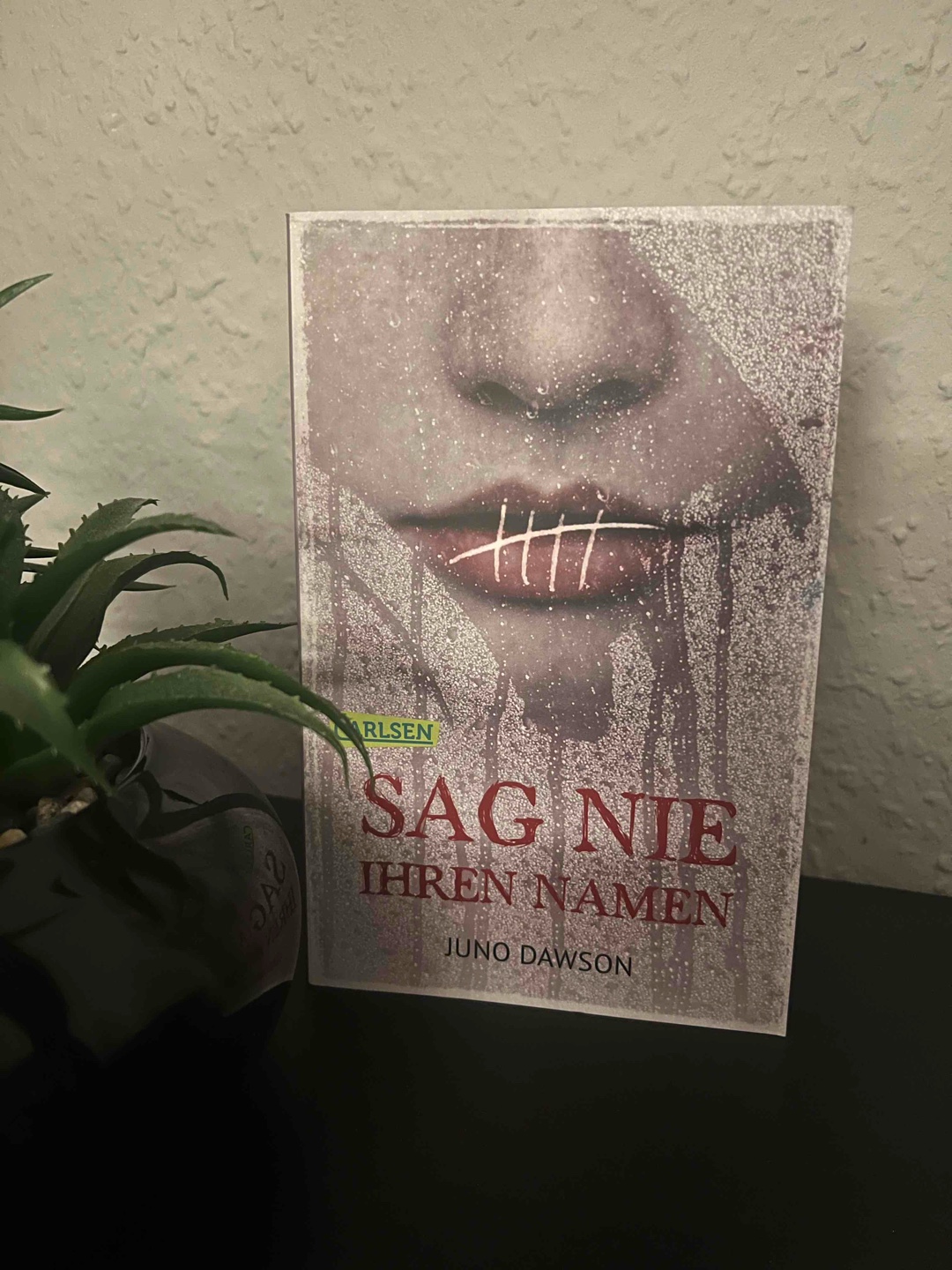Spannung Pur & echt gruselig 👻✨