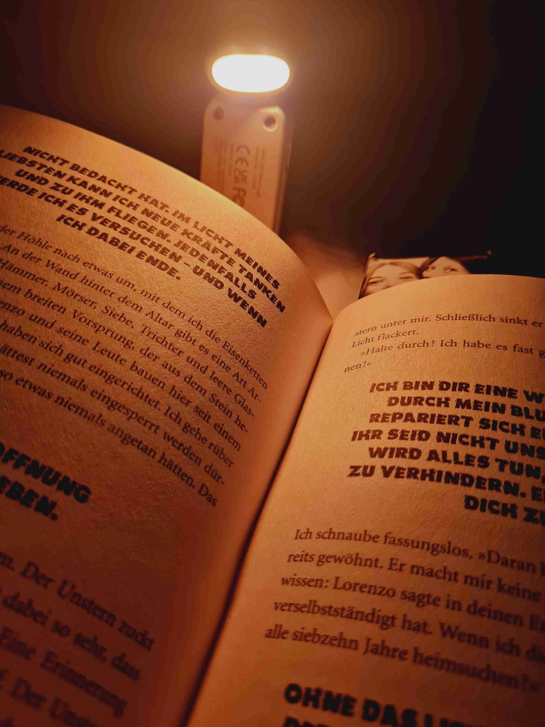 Ehm Hallo ?
Das war ja wohl der Mega Wahnsinn! 
Ich dachte die ersten Teile wären unschlagbar aber an dieses hier kommt keiner ran bestes Buch ever tolle Story tolles Cover tolles alles ❤️‍🩹🥀🌿🥹🥹