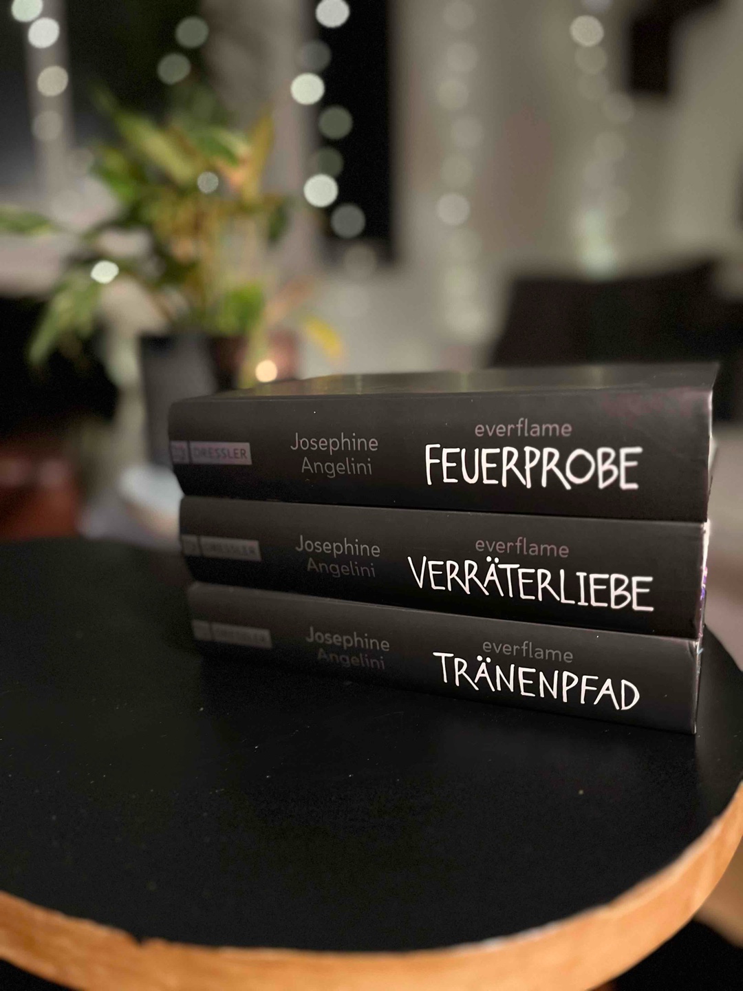 📖 Parallelwelten | Hexen | Magie | Slow Burn 🪄✨