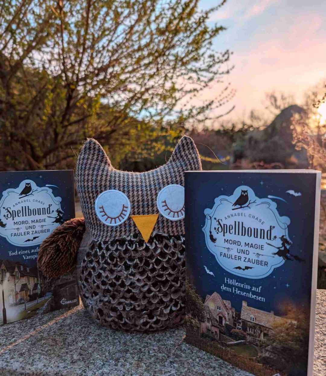 Wer humorvolle Geschichten mit Magie,  Hexen, Vampiren, Werwölfen, Satyre, Sukkubus, Untoten und alles was man sich auch nur vorstellen kann mag, der ist hier genau richtig. Spellbound ist ein Auflauf von allem magischen und fantastischem und so schön erzählt,  daß man immer wieder schmunzeln muss 😅
Ein bisschen love liegt ebenfalls in der Luft und es macht einfach Spaß Emma Hart bei der Ermittlung von Mordfällen zwischen Werfrettchen, magischen Klamottenläden und dem gefallenen Engel Daniel zu begleiten. 
Mit maximal 300 Seiten pro Buch und kurzen Kapiteln sind diese Storys perfekt für zwischendurch 🥰
Also ich lieb's und immer eine willkommene Abwechslung zwischen epischen high fantasy Büchern 👍