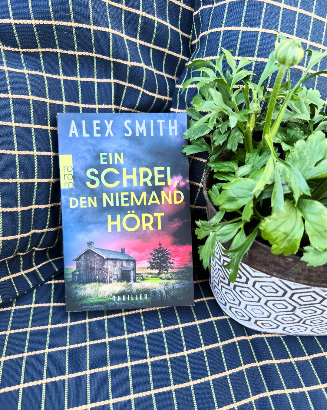 Gut für zwischendurch