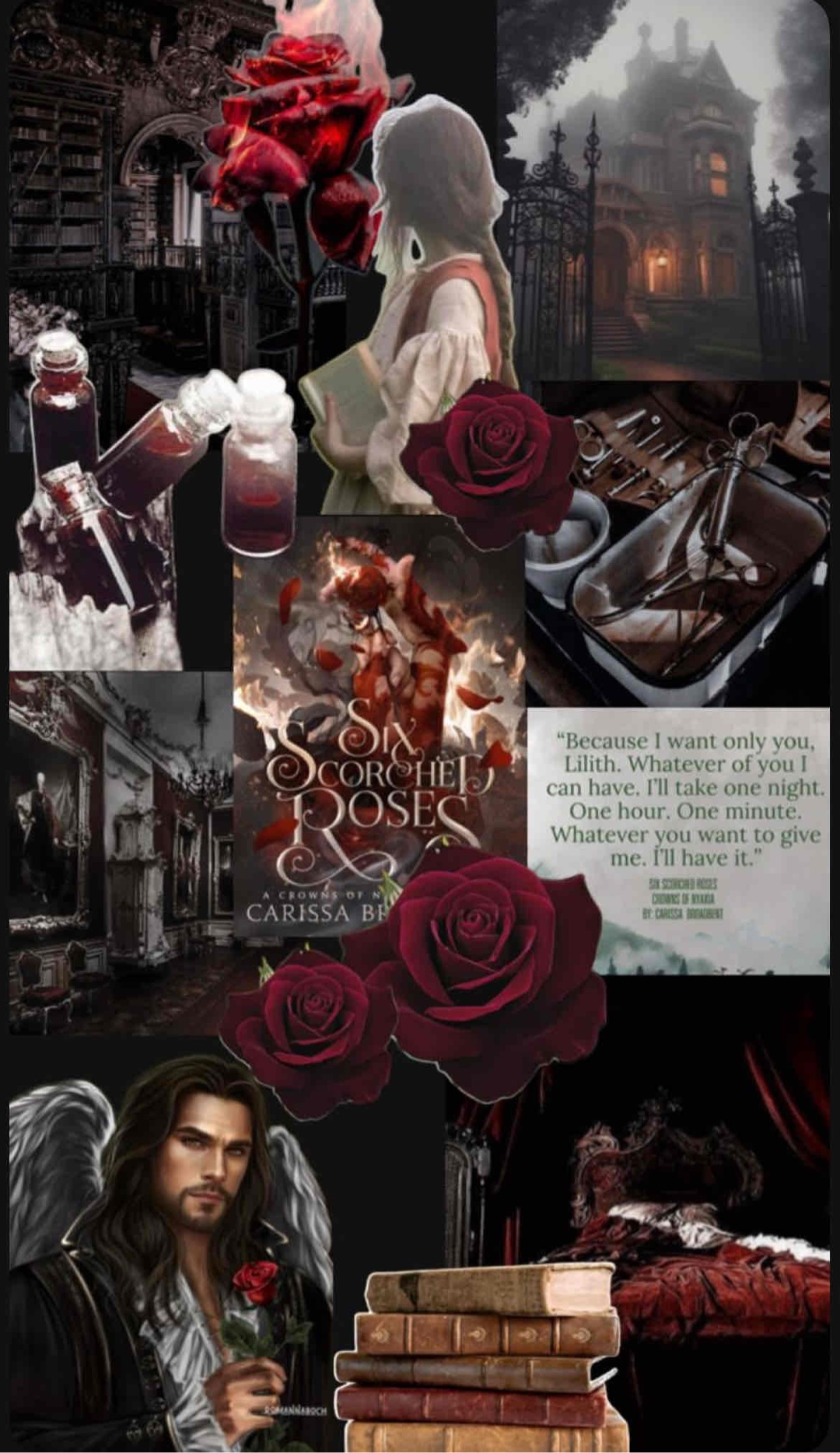 “Weil ich nur dich will, Lilith. Egal, wie viel ich von dir haben kann. Ich nehme eine Nacht. Eine Stunde. Eine Minute. Was immer du mir geben willst. Ich nehme es.”