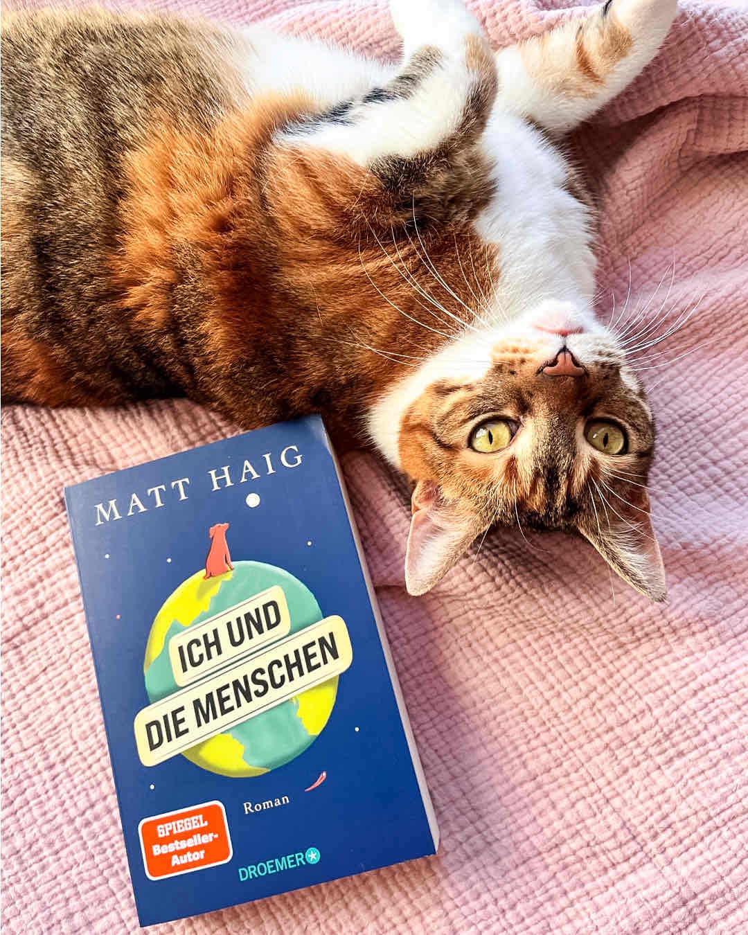 Ein ganz wundervolles Buch mit tollen Inhalten und Werten zwischen den Zeilen 🩷