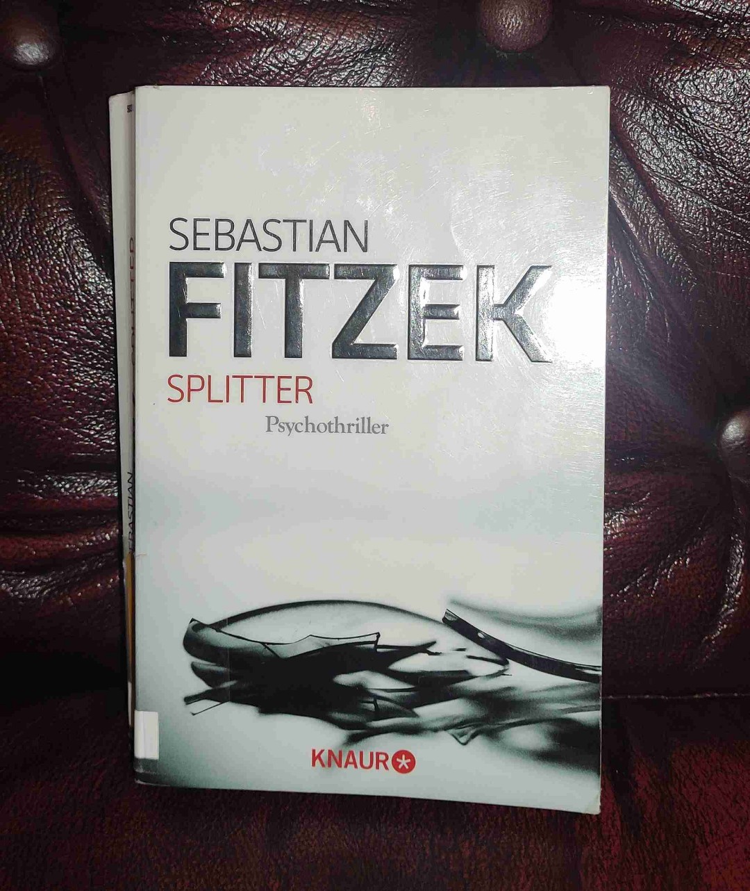 Auch hier wieder eine definitive Empfehlung! Fitzek hat es einfach drauf packende Bücher zu schreiben. Ich hätte es am Liebsten gar nicht weggelegt. Wieder absolut fesselnd und gut geschrieben! 