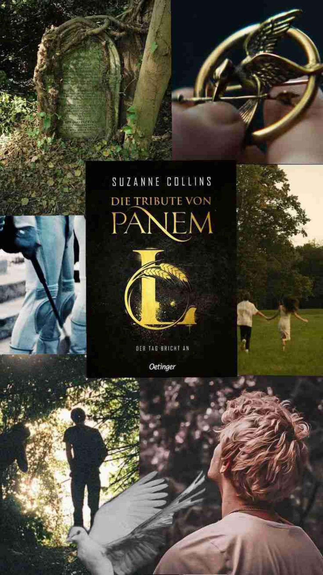 Endlich wieder Panem