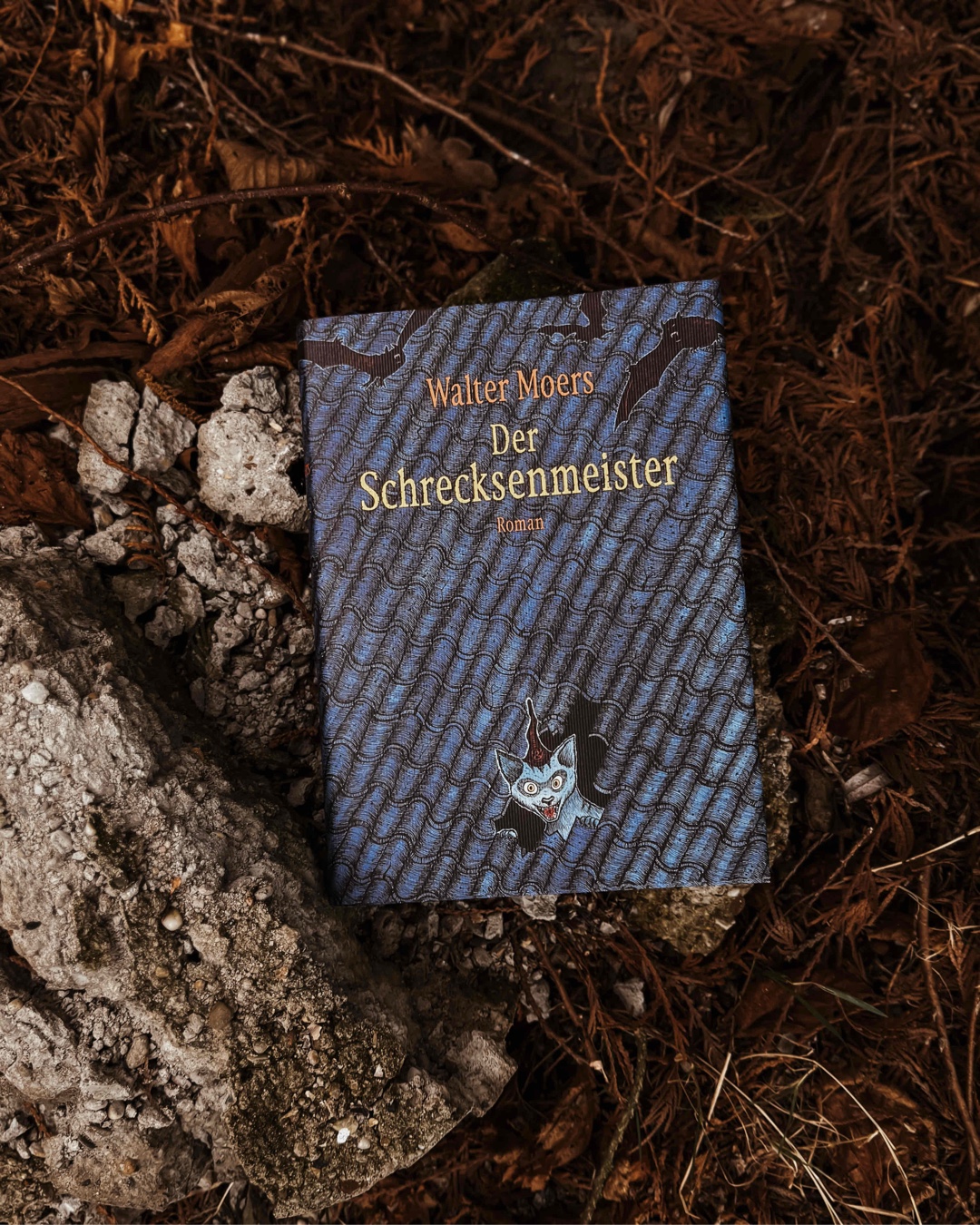 Ein solides, aber für mich nicht überragendes Zamonien-Abenteuer.