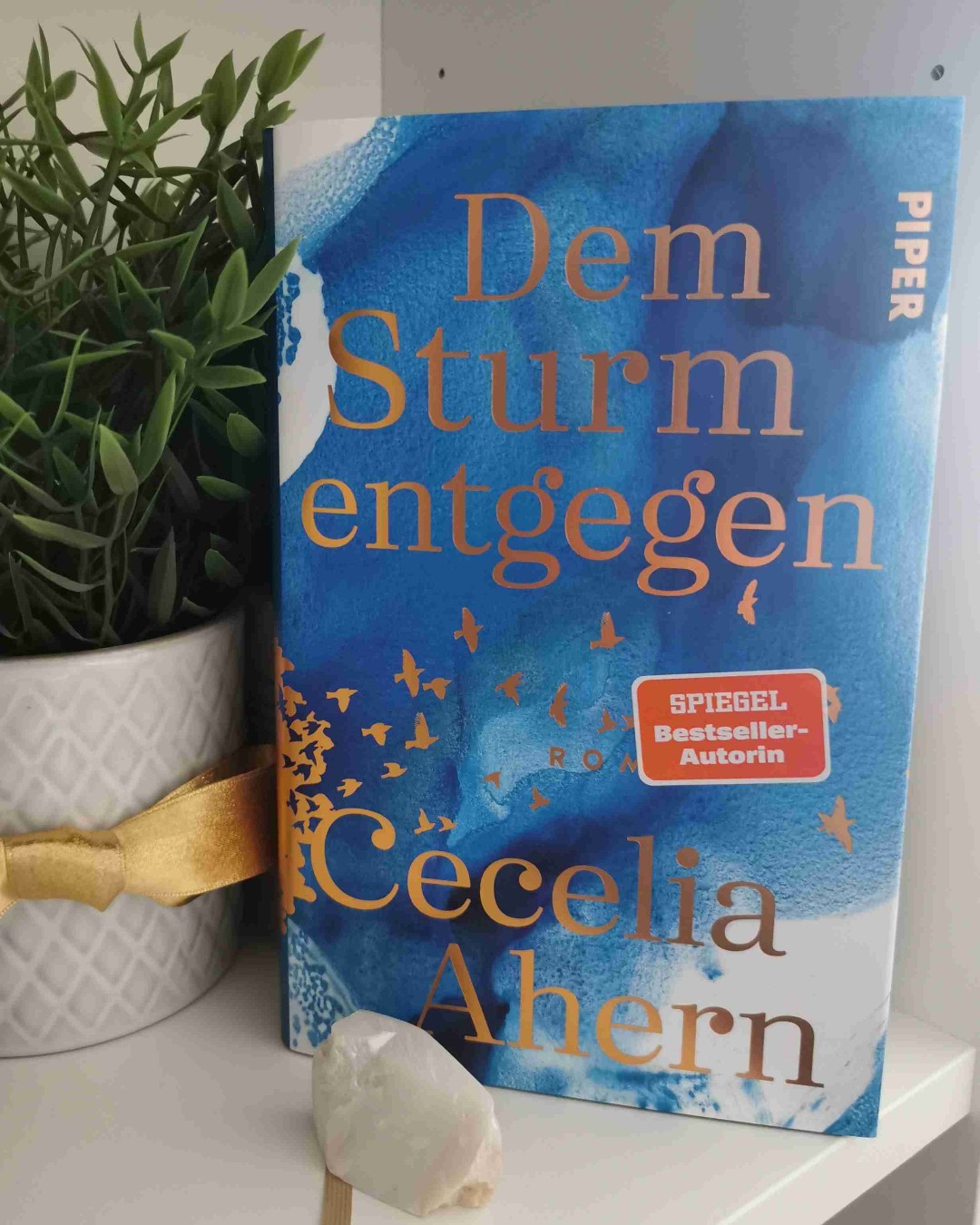 Es stürmt bis zum Schluss