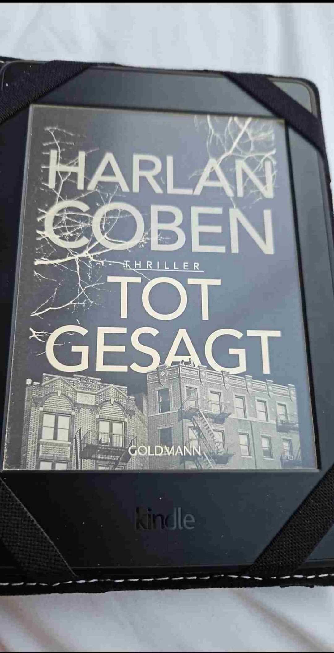 Gutes Buch mit spannender Schlusswende