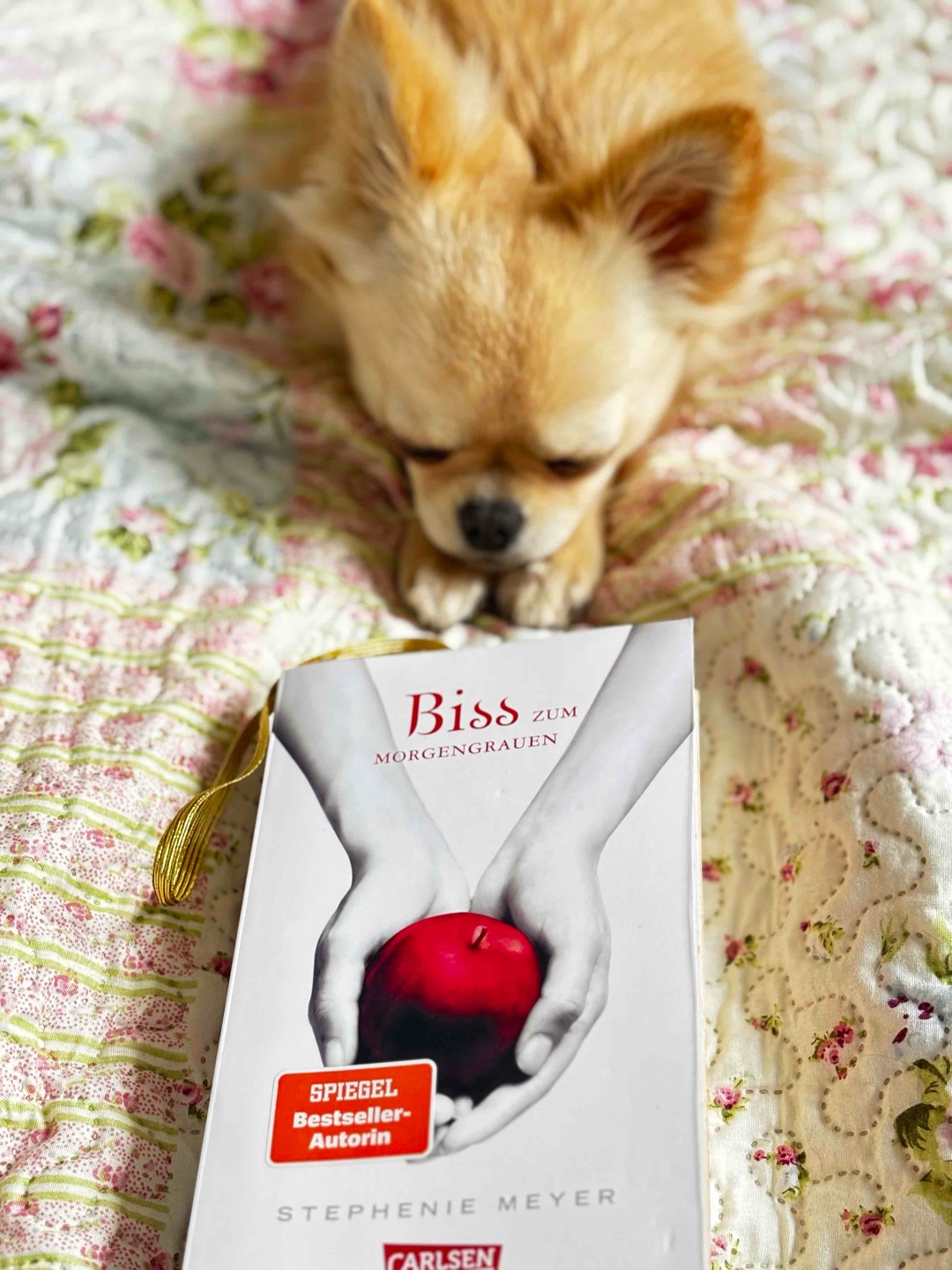 Zum dritten Mal jetzt gelesen.