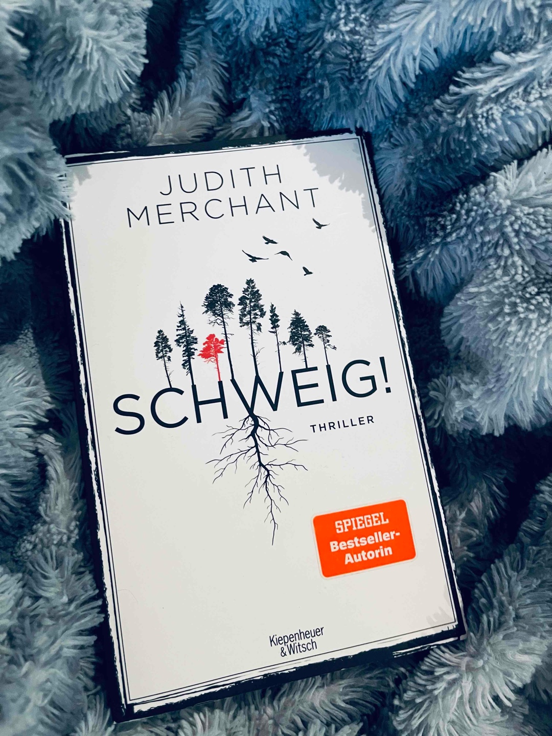 Ein spannender und ein wenig verwirrender Thriller. 