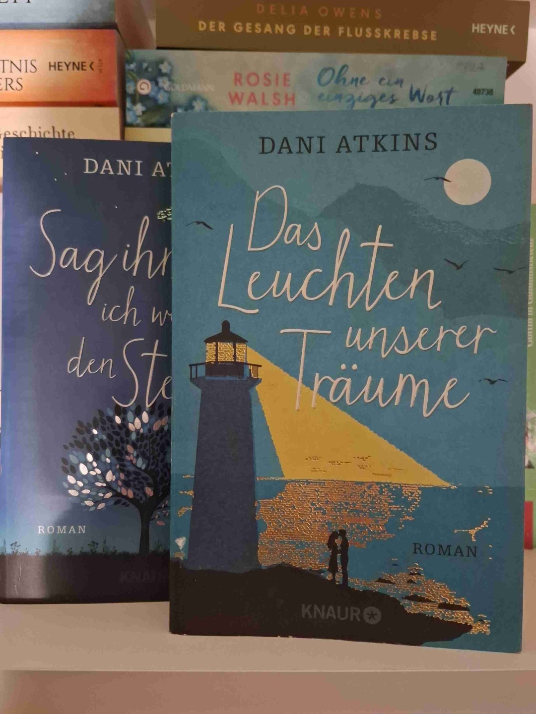 Dani Atkins und ich: Eine schwierige Beziehung