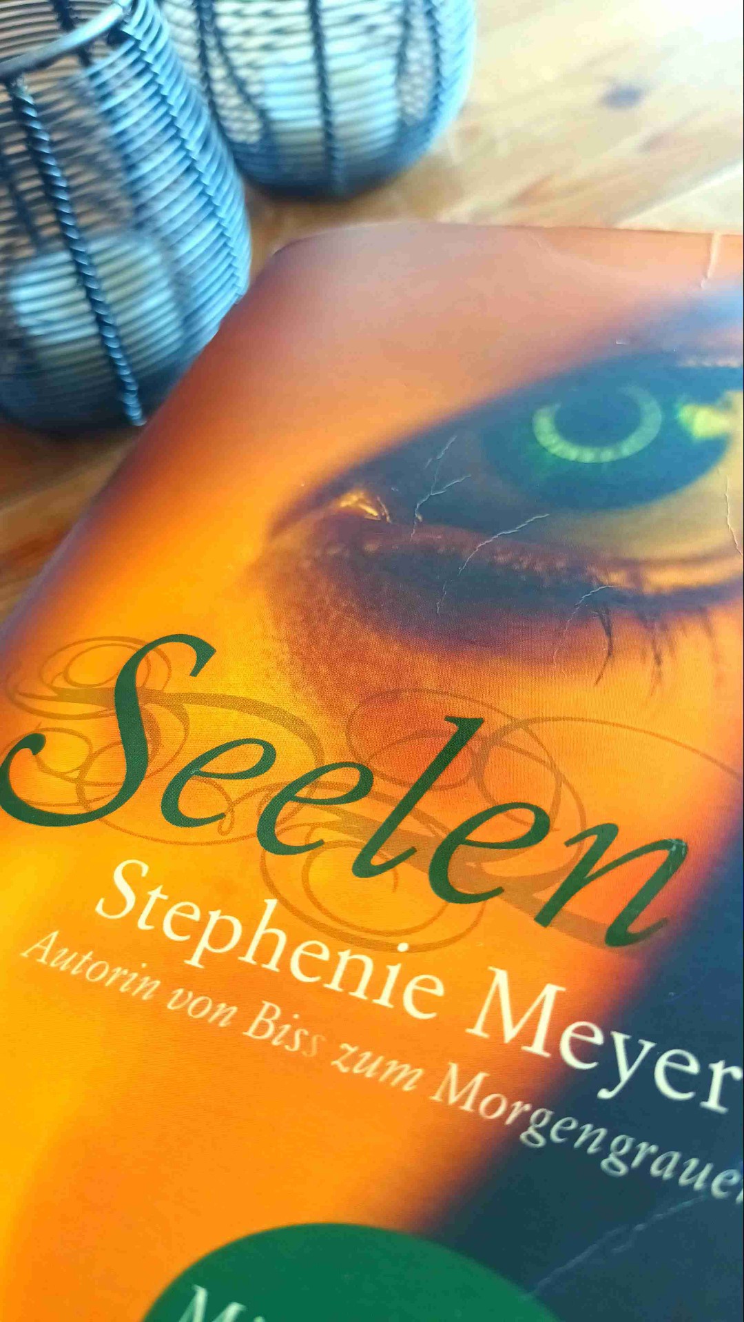 Ein Buch über den Wert des Lebens eines Menschen. Wanda ist eine Seele und hat den Körper von Melanie besetzt doch sie ist nicht allein Melanie ist noch da und kämpft um ihren Körper zurück zu bekommen.👽❤️🩹