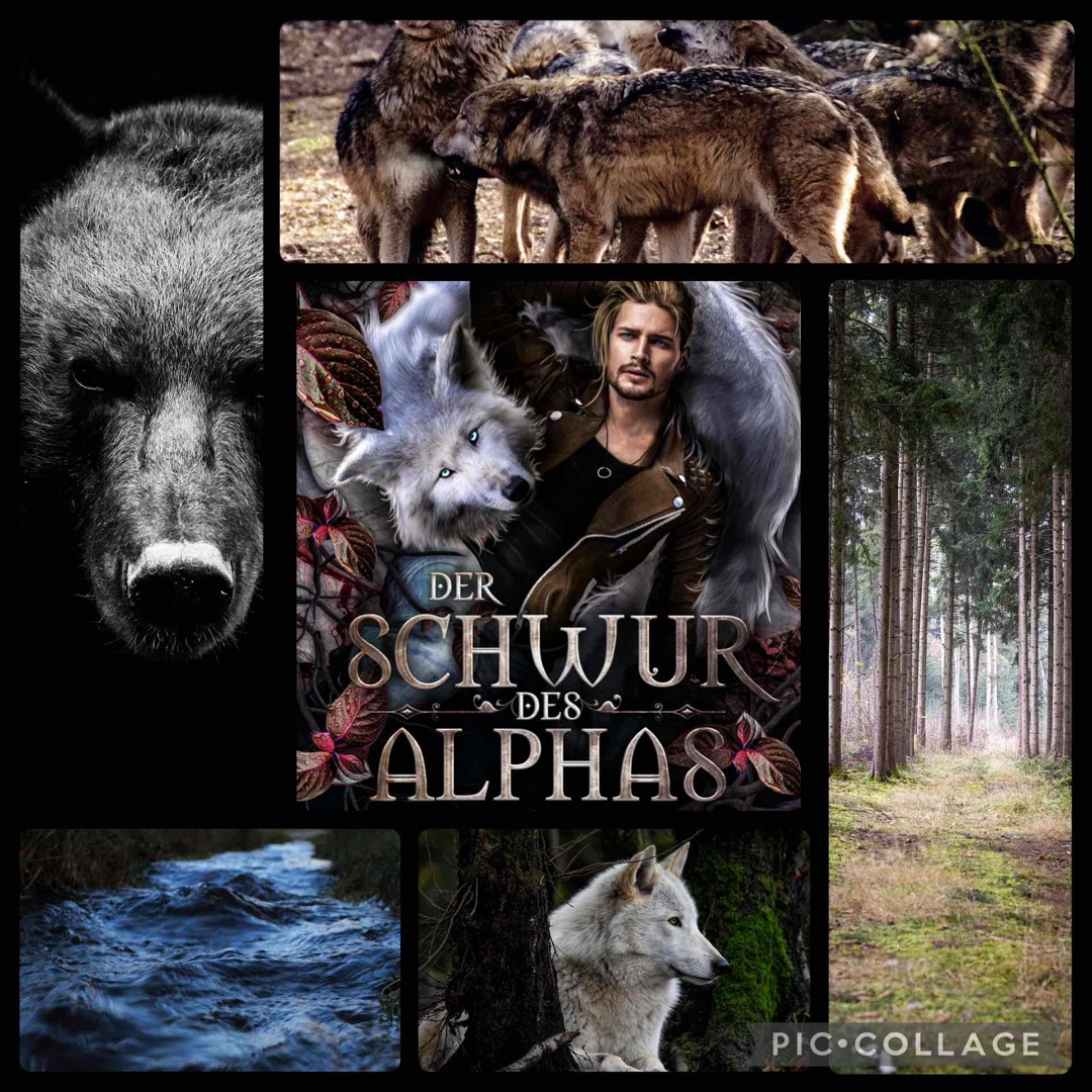 🐺Gelungener Auftakt 🐺