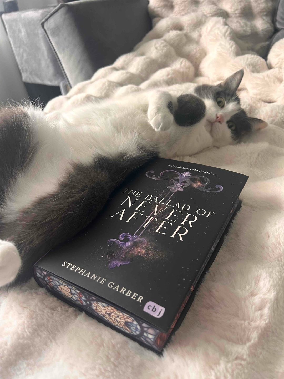 Was für ein schönes Buch, von innen und von außen🩷🗝️🦊🏹🩸💎🤍