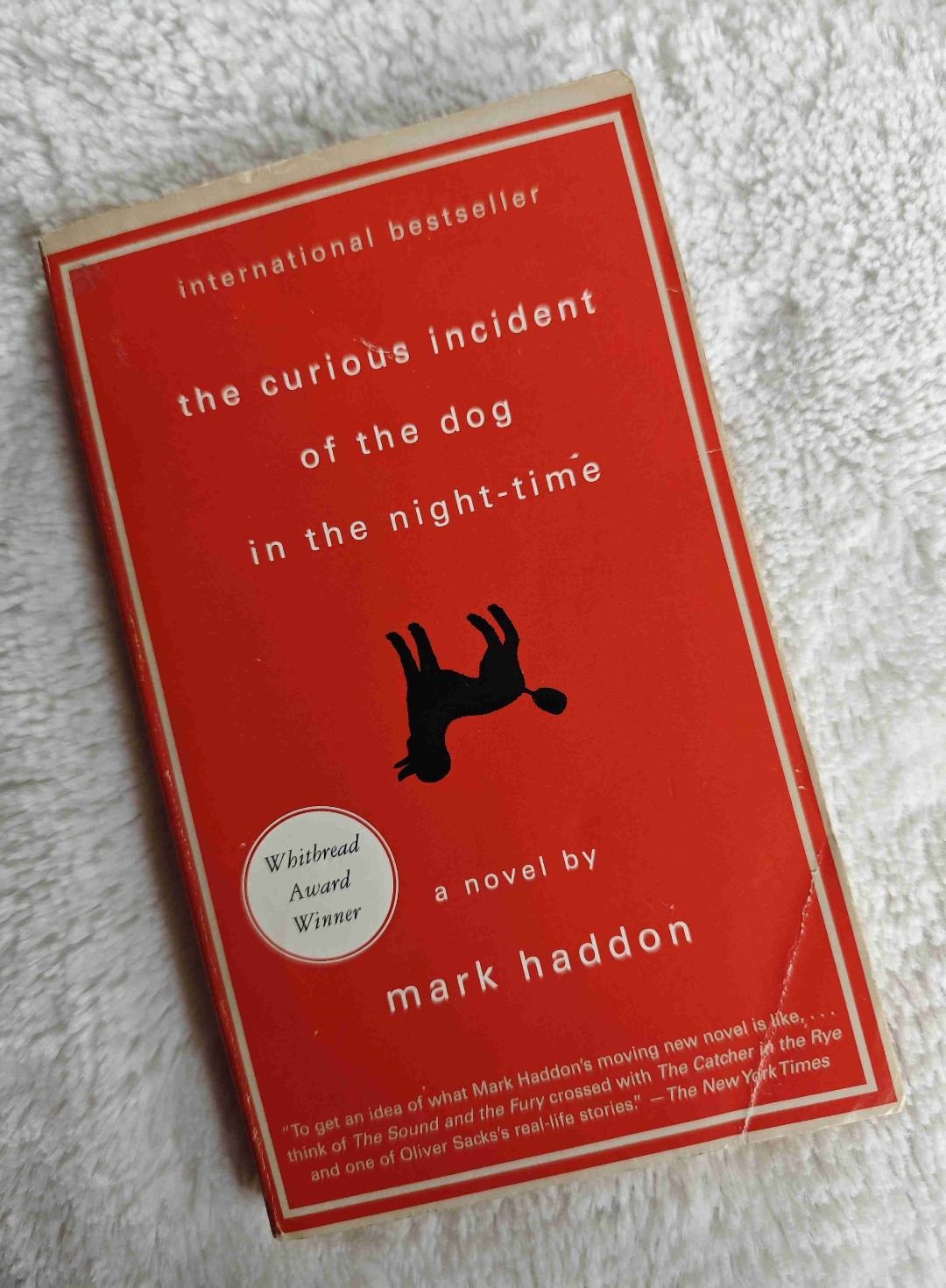Understanding the world through the lens of an autistic boy.