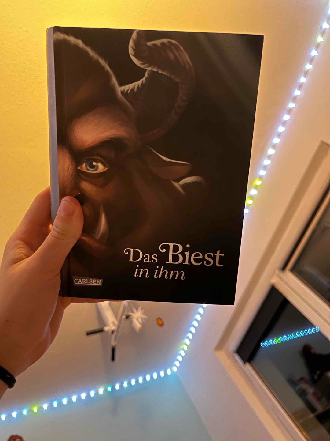 Mega Buch