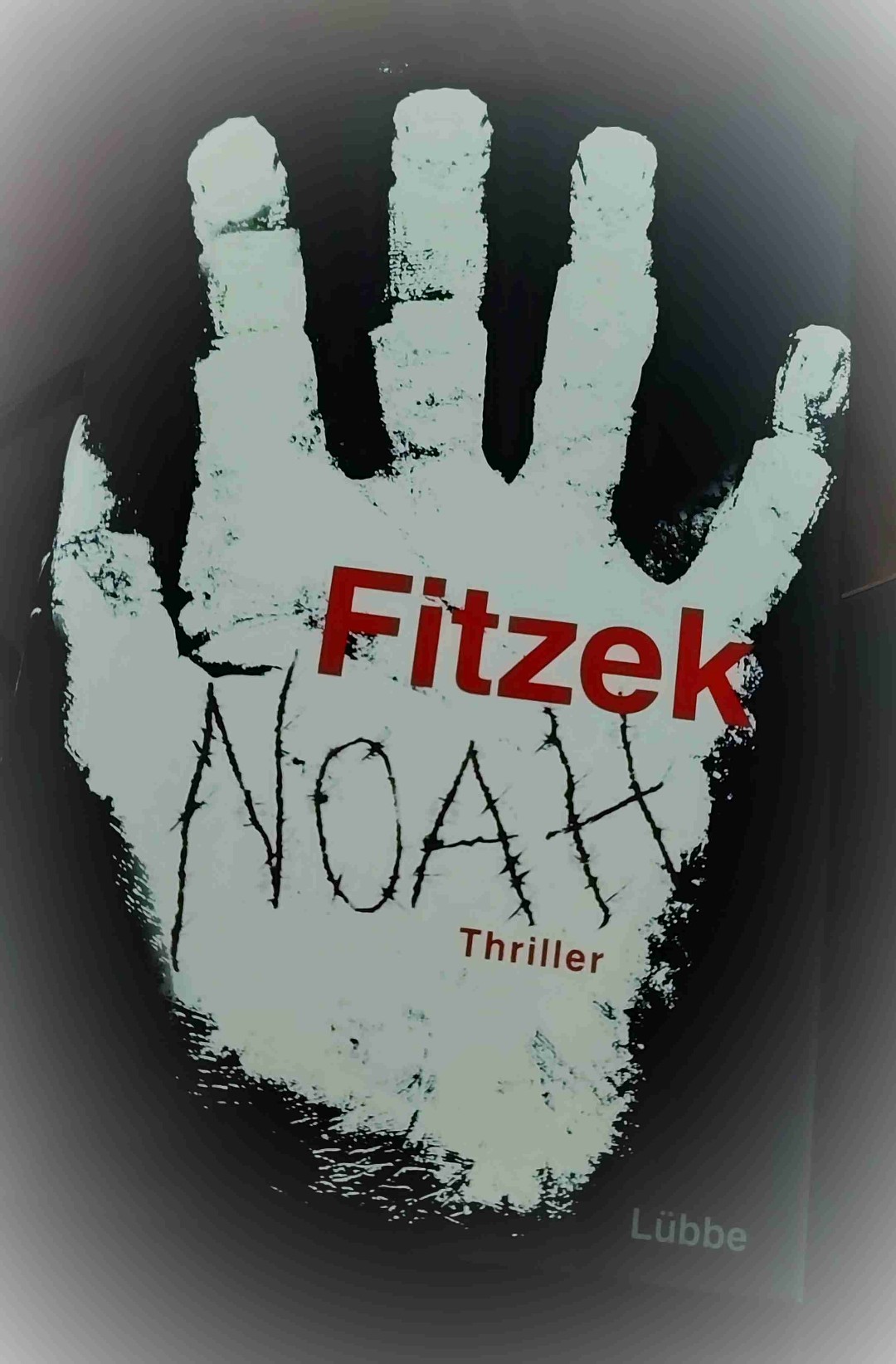 "Jede Lüge wird zu einer Wahrheit, mir der wir irgendwann leben müssen" (S. 504)

Sehr schwerwiegende Thematik in einem - zu langem - Thriller verstrickt. 