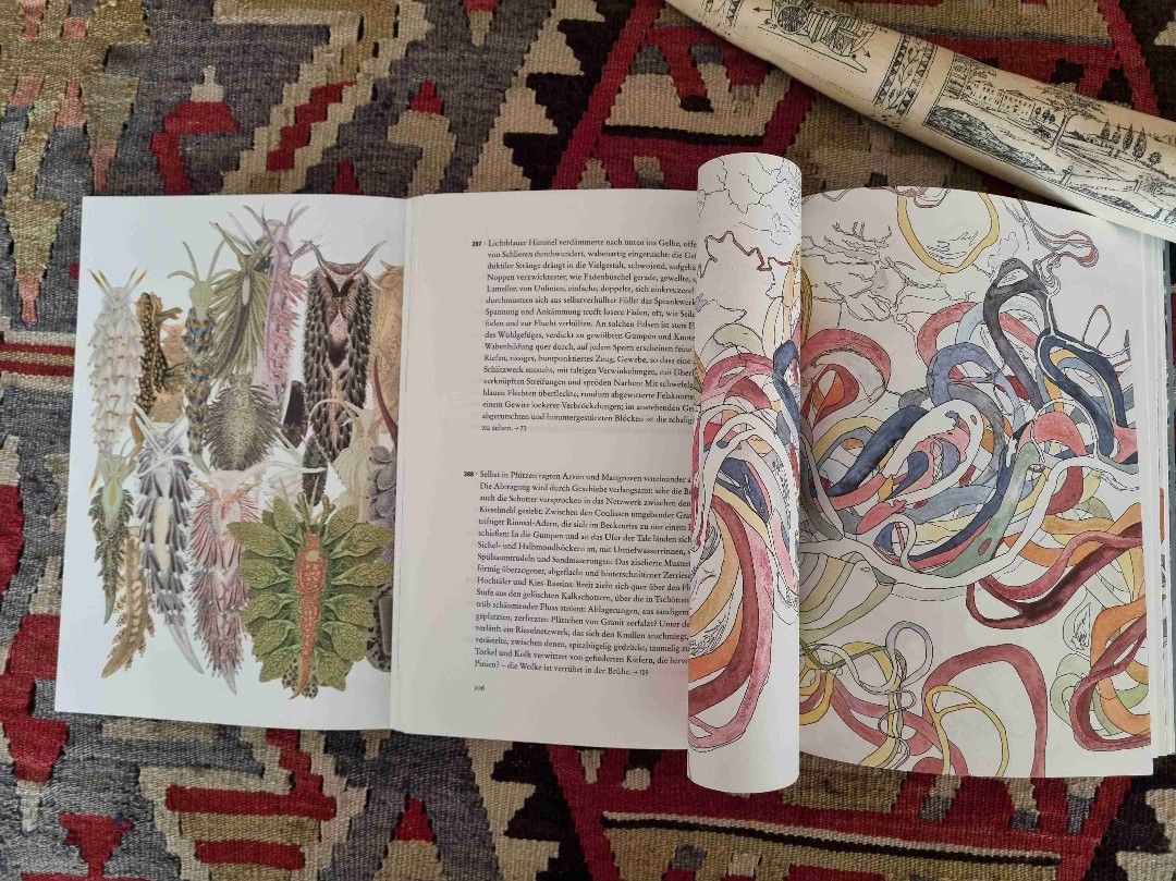 Ein Buch wie ein Traum