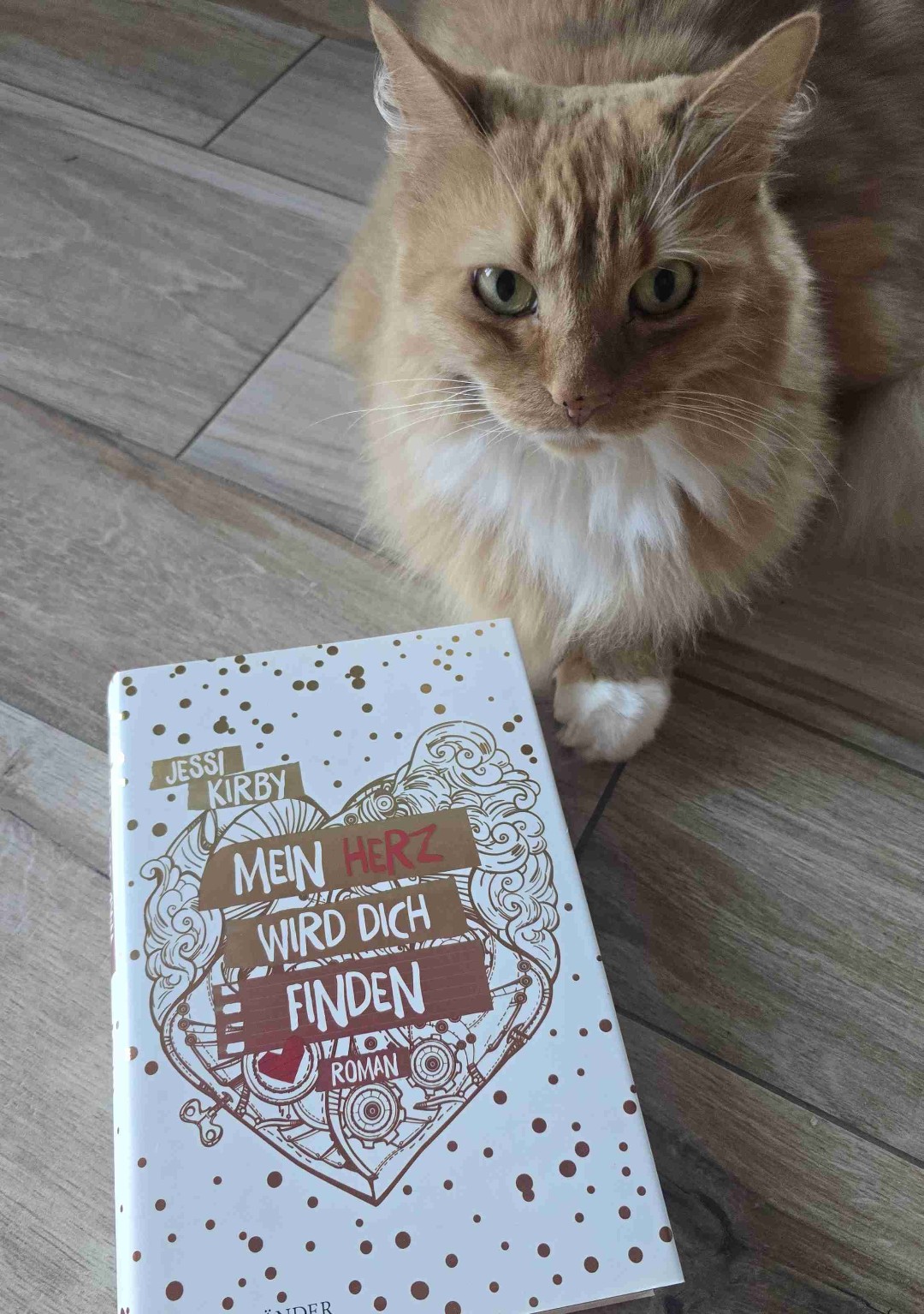 Herzzereißend schön ❤️
