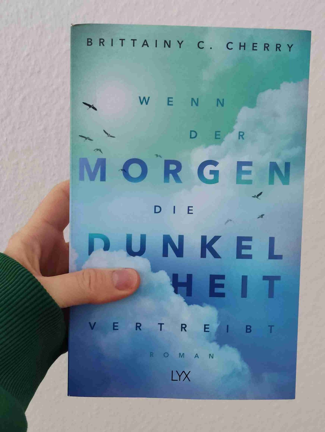 Sehr schönes Buch mit einer herzzerreißenden Geschichte💖