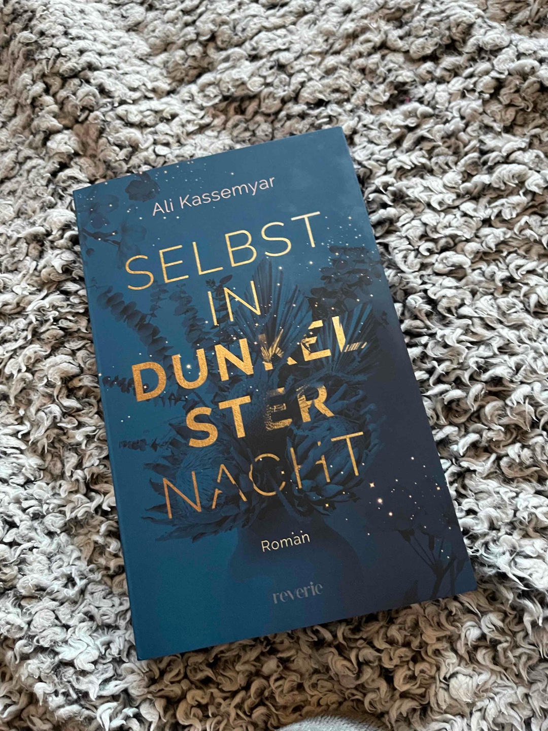 Kieran die dunkele Seite der Medaille - Liora das Licht