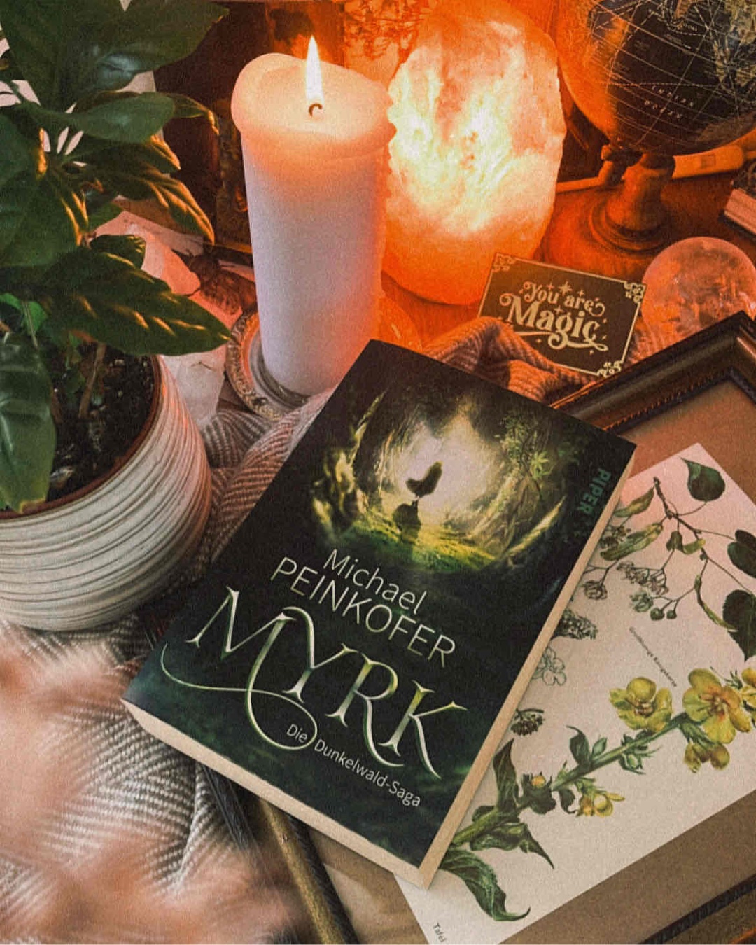Fantasy und das als Einzelband, liebe ich! 🤍🌿🫶🏼