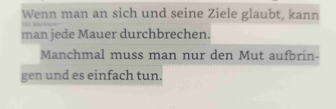 Verstehe den Hype um dieses Buch! 