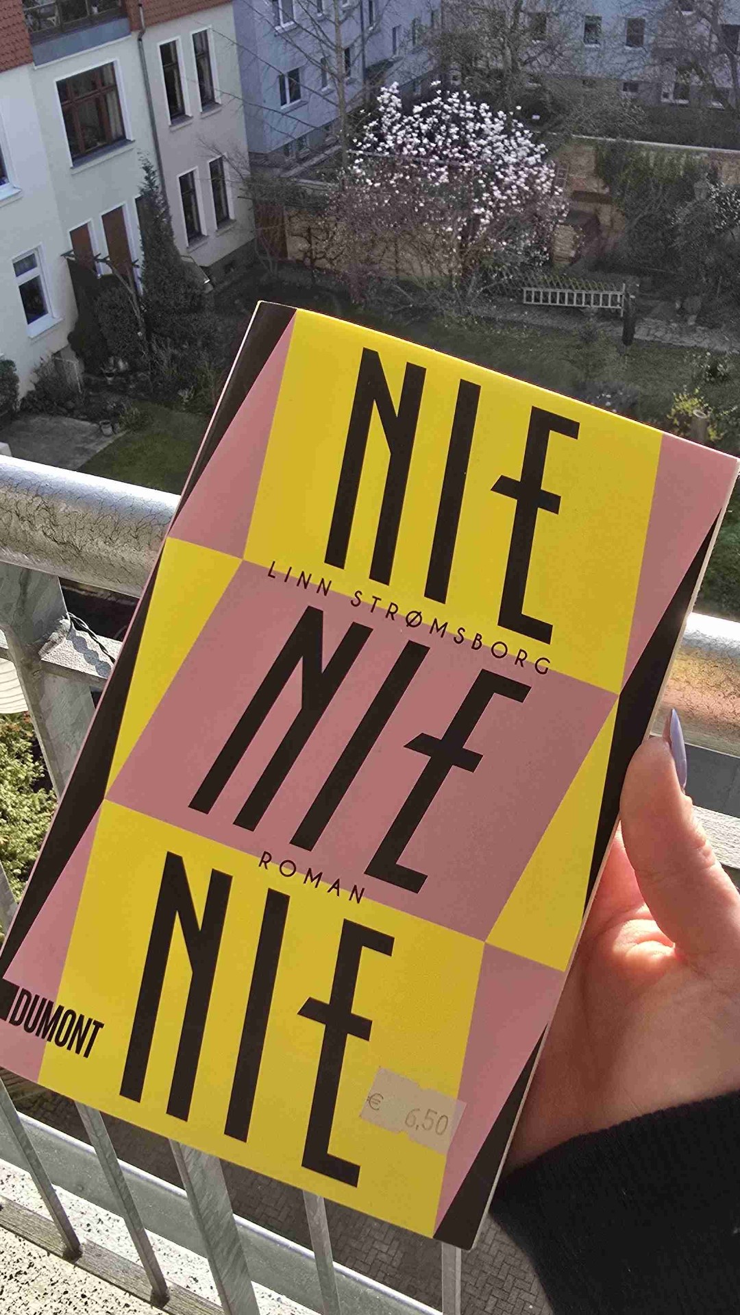 Kein Kinderwunsch - ein sehr gutes Buch!