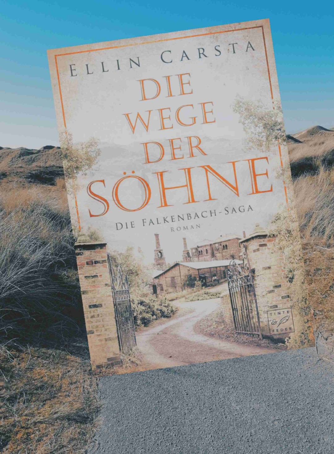 Ich bin nur so durch das Buch geflogen, konnte einfach nicht mehr aufhören zu lesen. Einziges Manko die zeitliche Abfolge, die mir dann zwischendurch etwas zu durcheinander war und auf mich nicht ganz logisch wirkte.