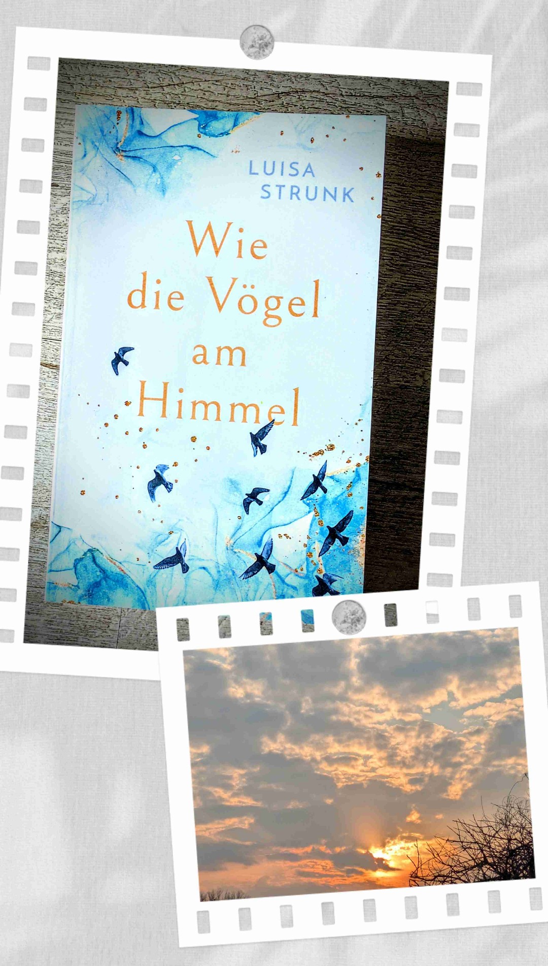 Einfach ein schönes Buch. Es ist eine wirklich gute Wahl