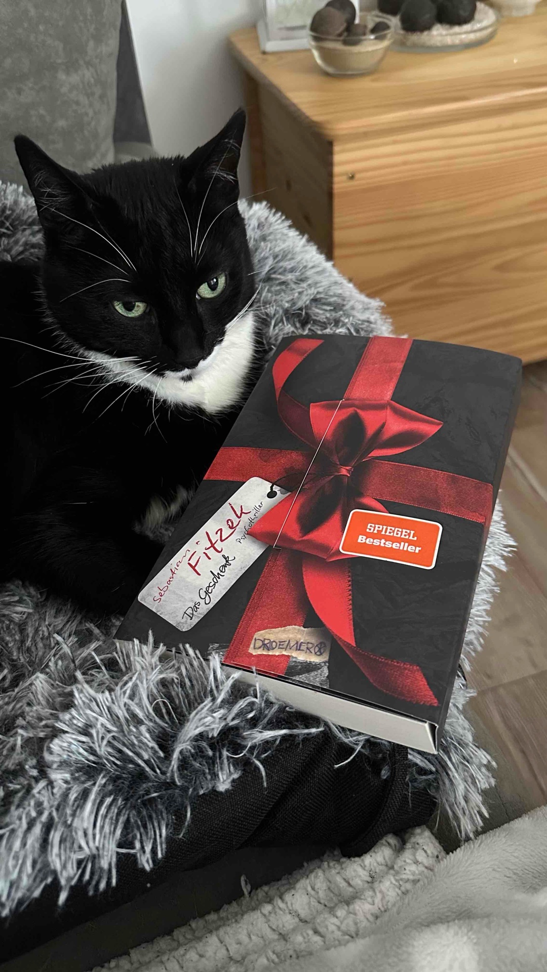 Das Geschenk 🎁 