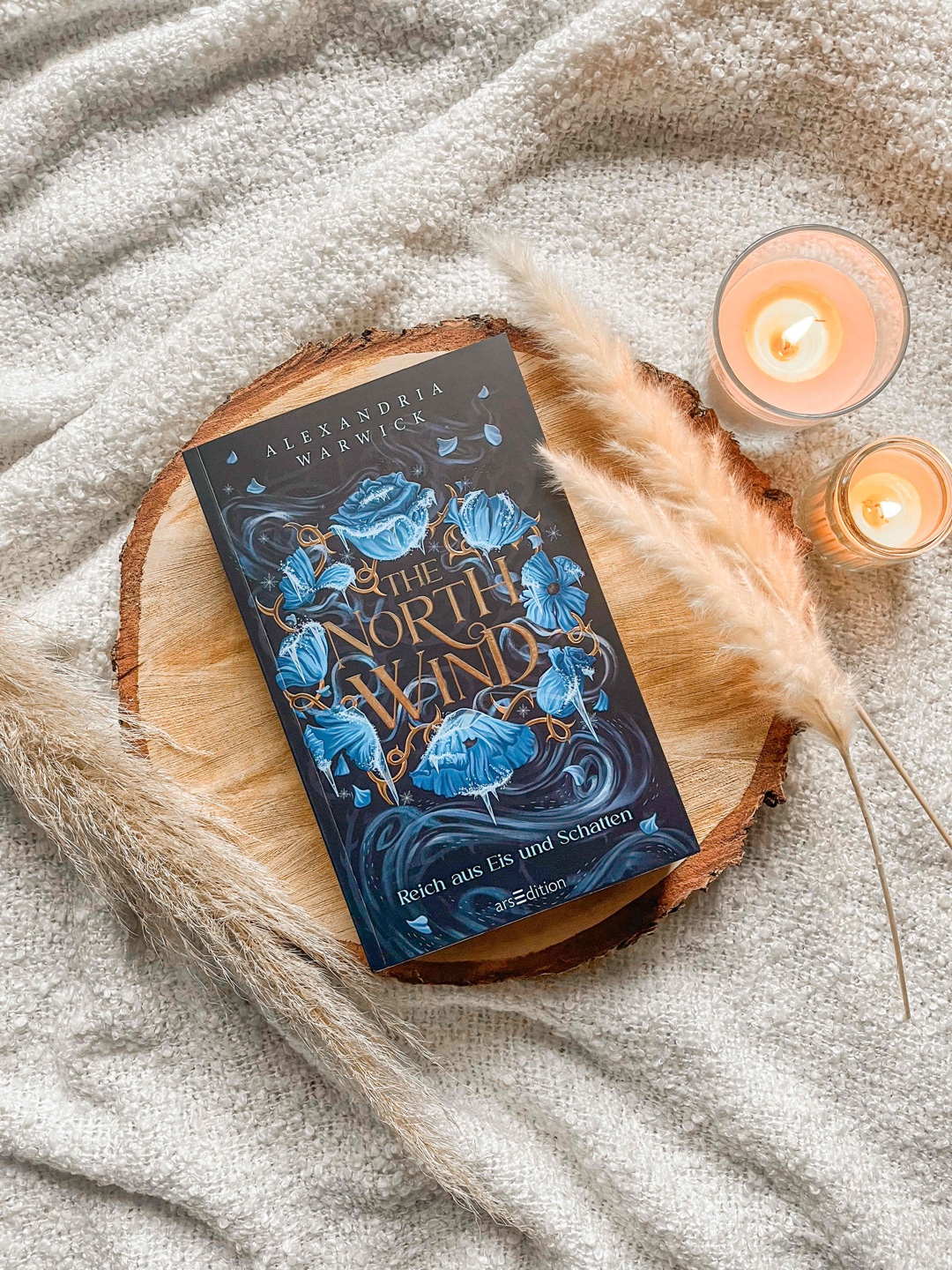 Beauty and the Beast Retelling mit viel Langeweile und verschwendetem Potenzial.