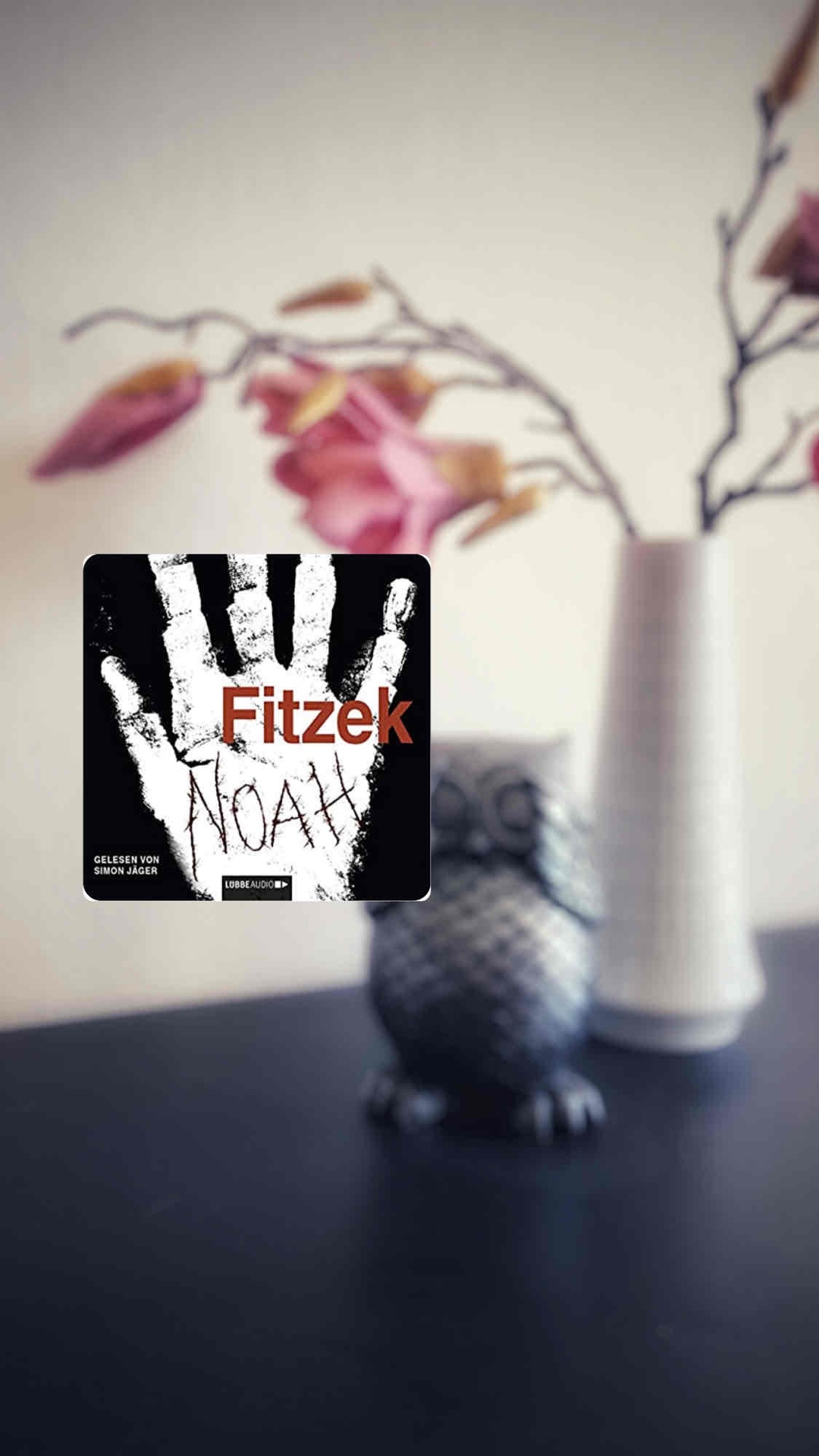 Eins von Fitzeks besseren Büchern. Diese Verwirrungen um diverse Verschwörungstheorien haben mir sehr sehr gut gefallen. Spannung über Spannung, ein schneller Schreibstil. Dazu ein kleiner Schlag auf den Hinterkopf. 
Empfehlenswerter Fitzek. 
