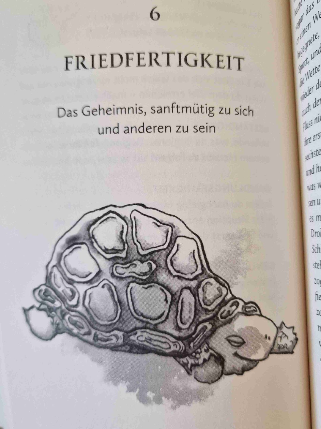 36 Übungen/ eine Geschichte über die Tiere hin und wieder mit einigen Beispiele aus dem Leben.