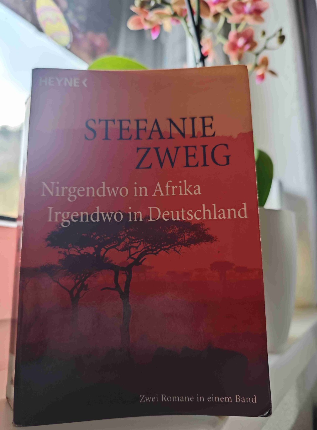 Ein sehr schönes und herzzereißendes Buch