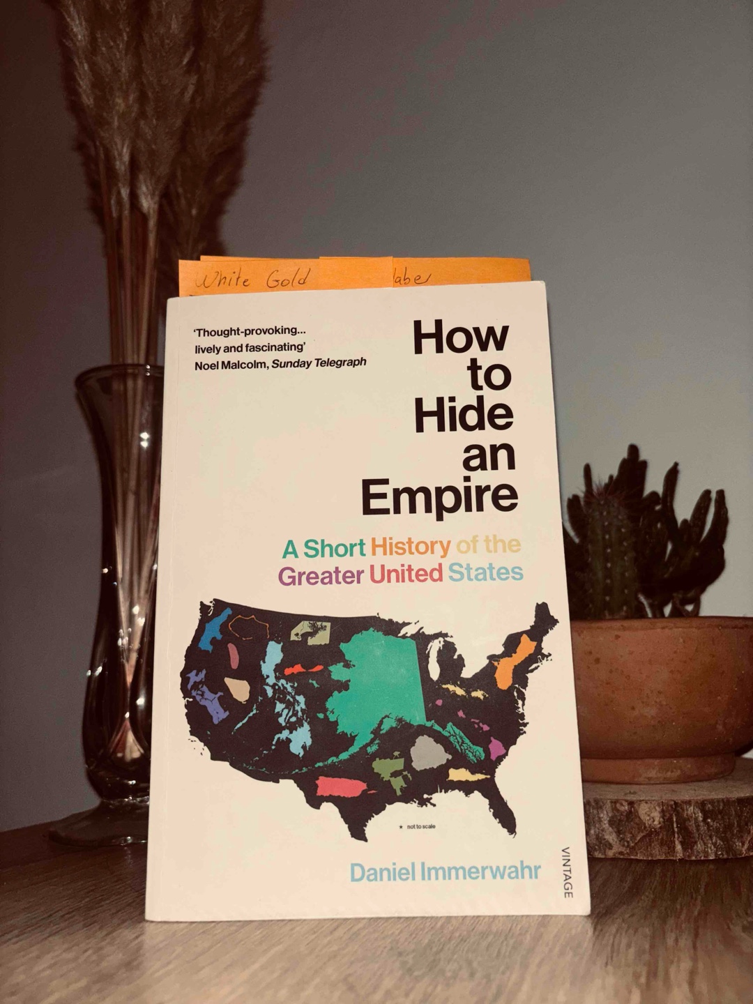 Ein fantastisches Buch über die imperialistische Geschichte der USA!