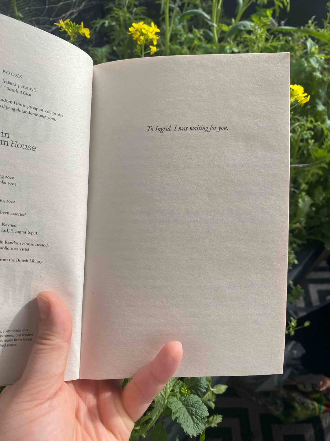Simply a comfort book