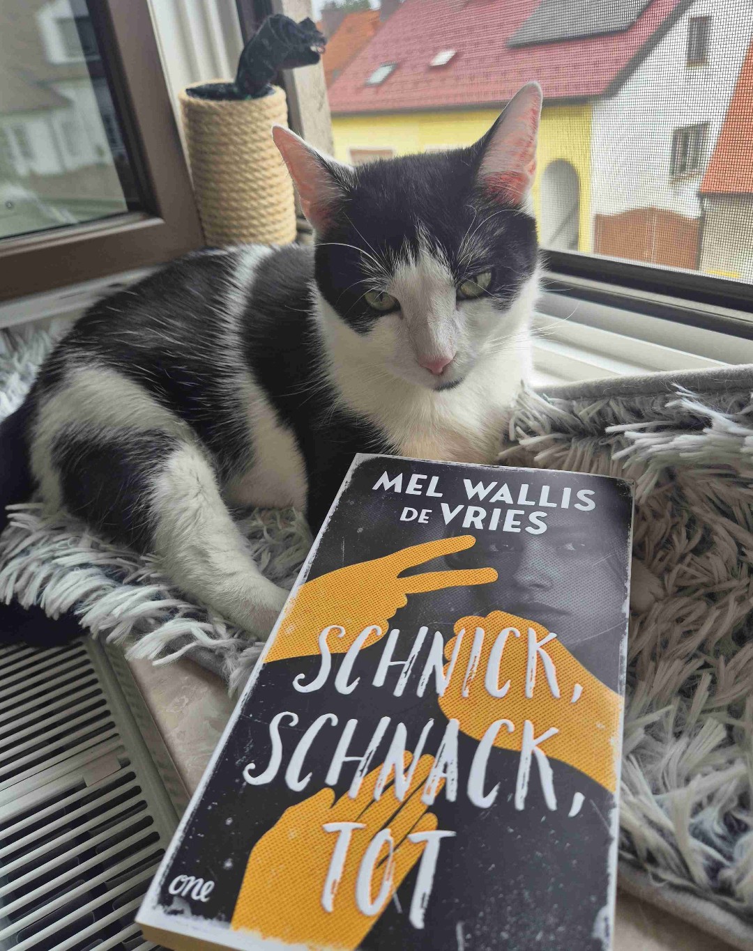 Dieses Buch lässt sich mit einem wort gut beschreiben: Meh.