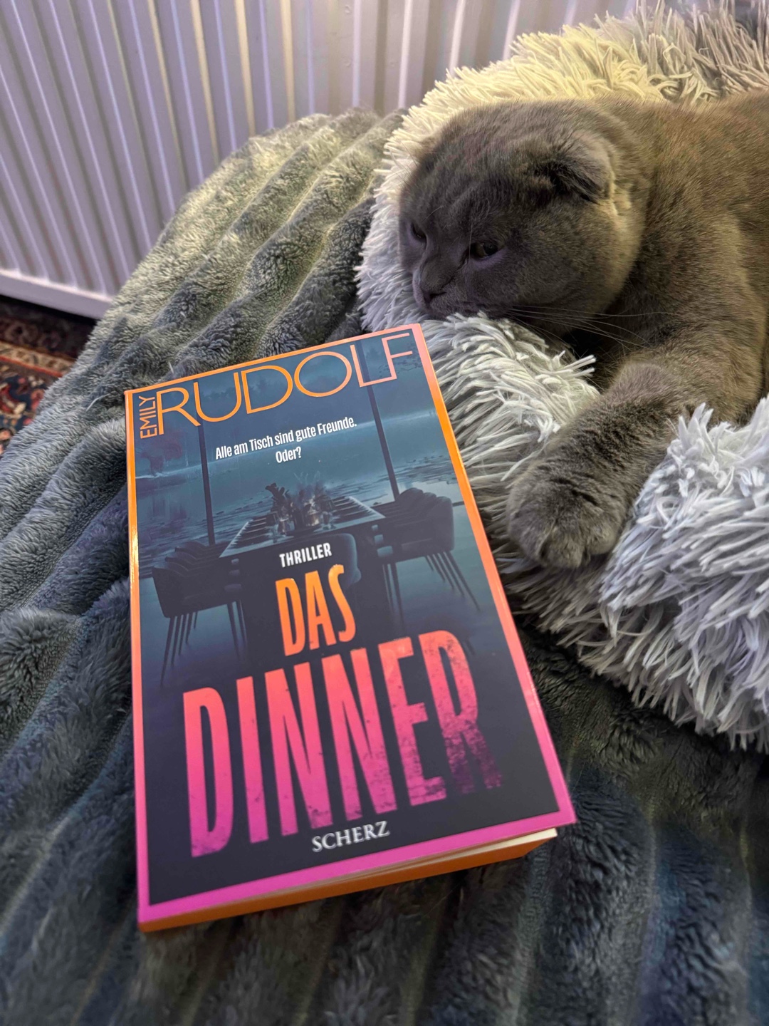 🫆🍴🍲🔪🩸~ Alle am Tisch sind gute Freunde. Oder?