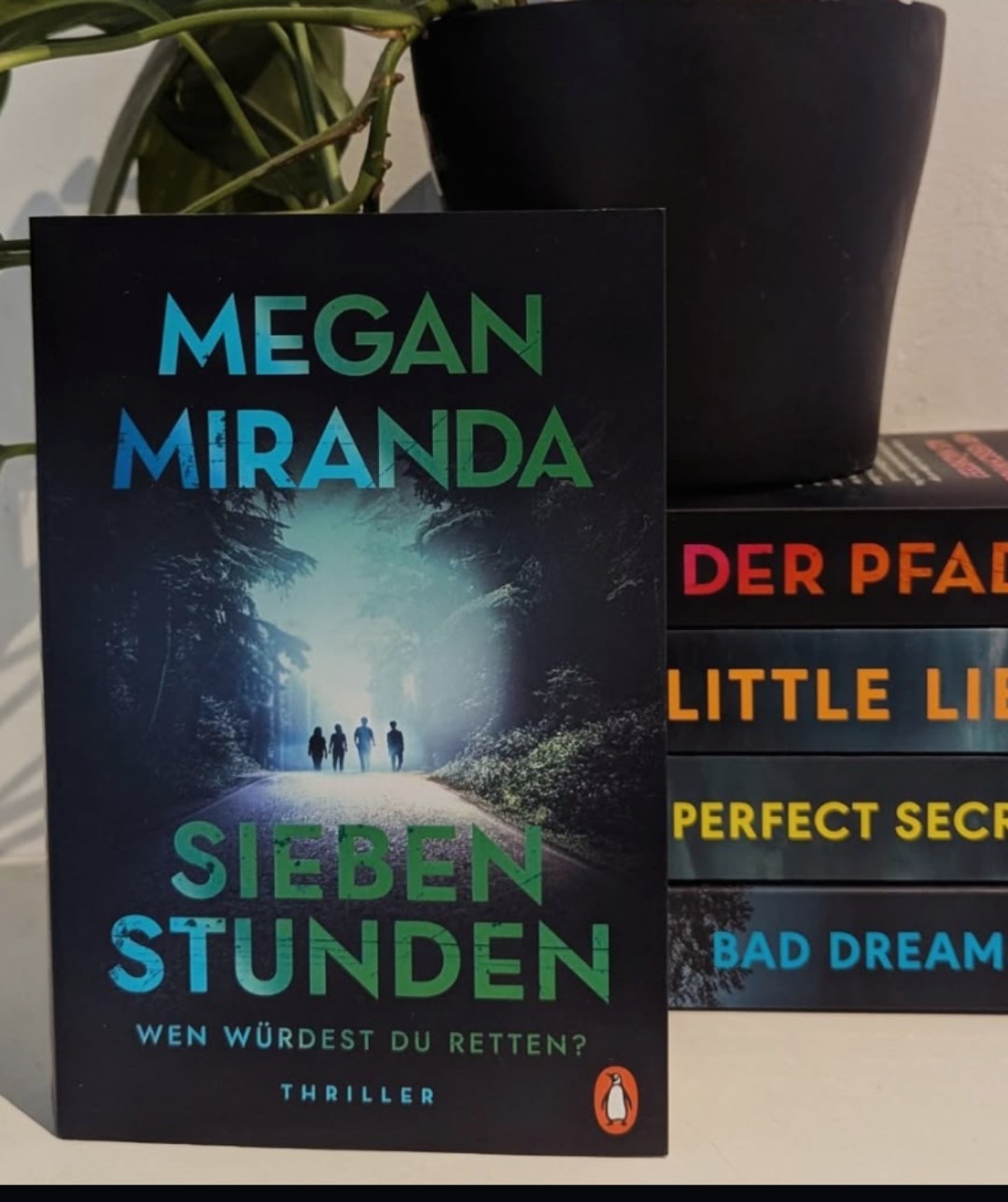 Guter Thriller, der nicht ganz an andere der Autorin rankommt