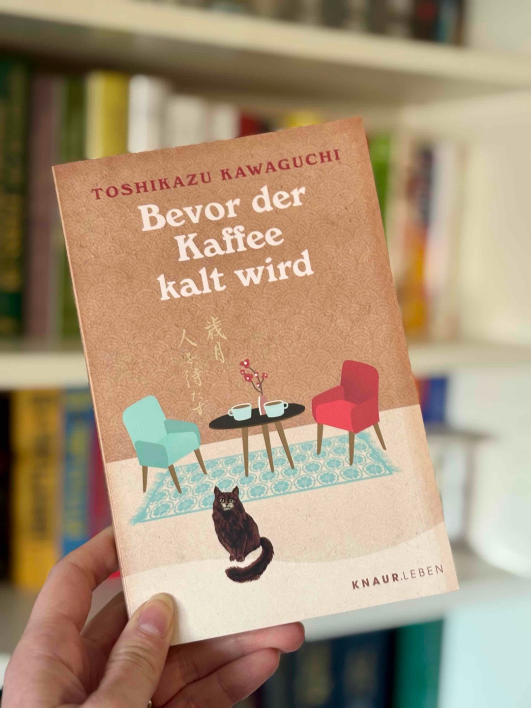 Täglich grüßt das Murmeltier