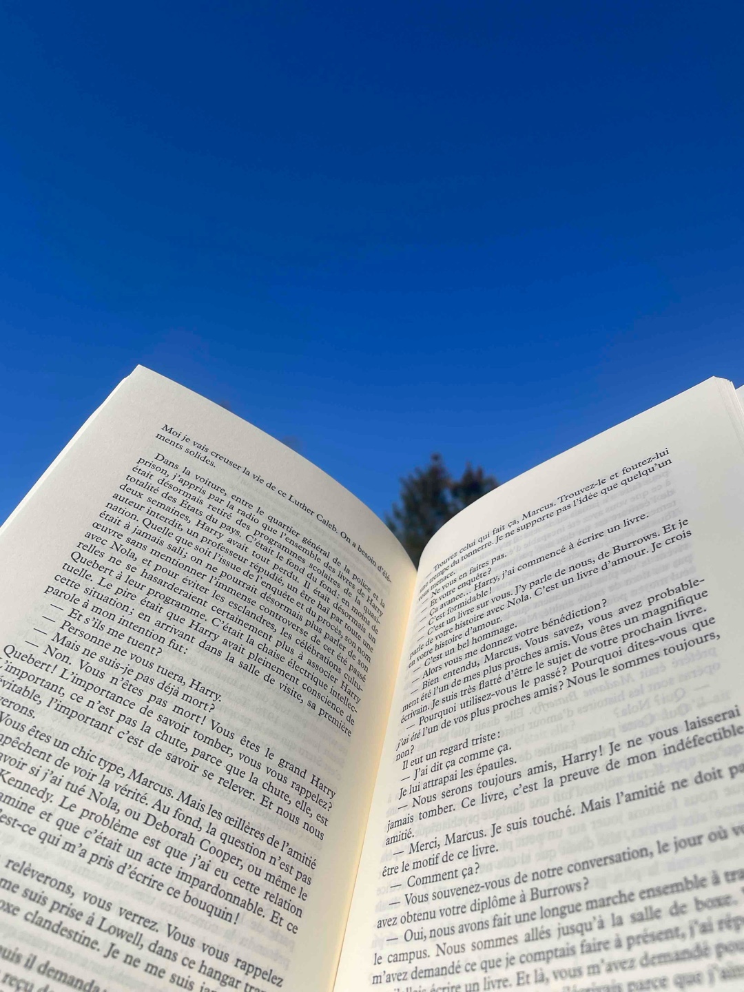Ich habe dieses Buch auf Französisch gelesen und ich habe überraschenderweise fast alles verstanden. Es hat mir relativ gut gefallen jedoch fand ich es an manchen Stellen sehr ausführlich beschrieben und es hatte auch einige Längen. Der Plottwist war etwas vorhersehbar jedoch bin ich nicht drauf gekommen 🙃